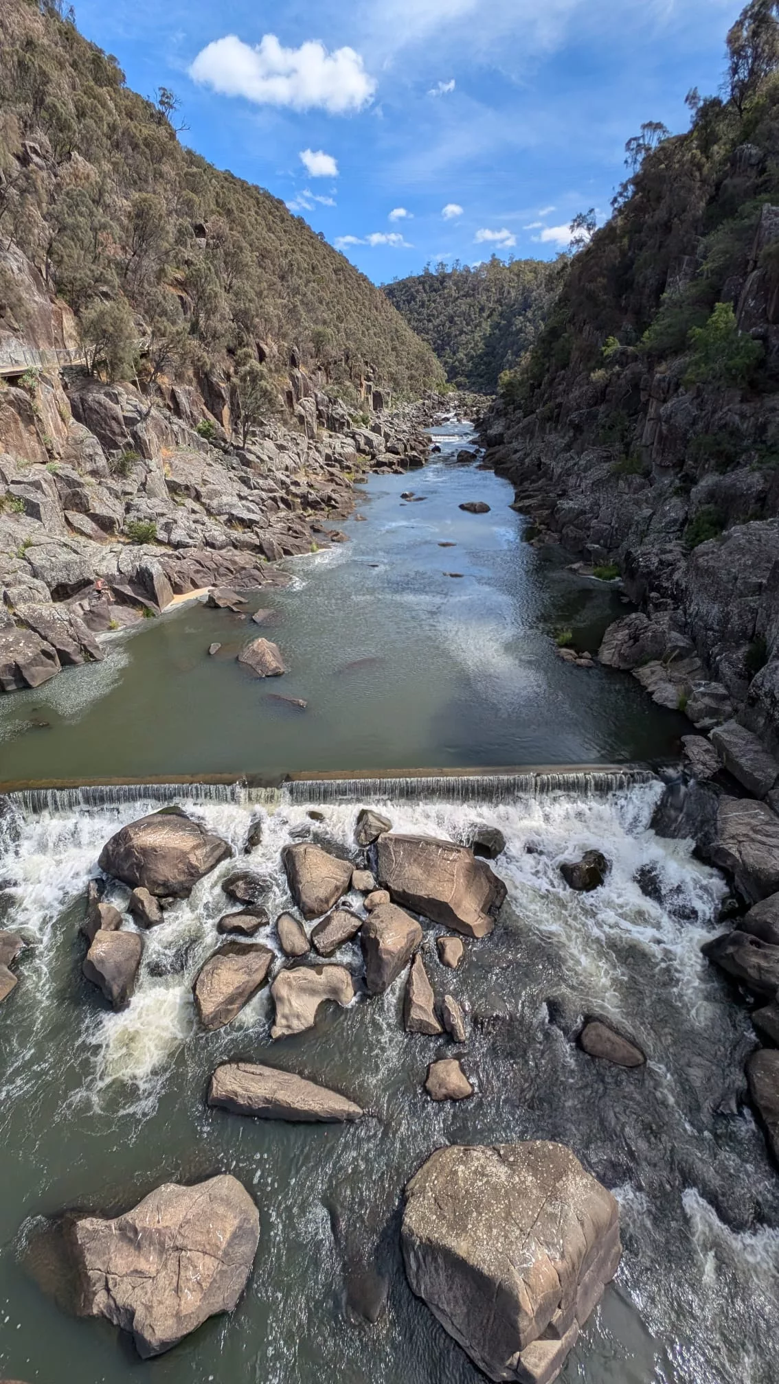 Die Aussicht von der Brücke ist ein Highlight für sich Die Aussicht von der Brücke über der Cataract Gorge ist ein Highlight für sich