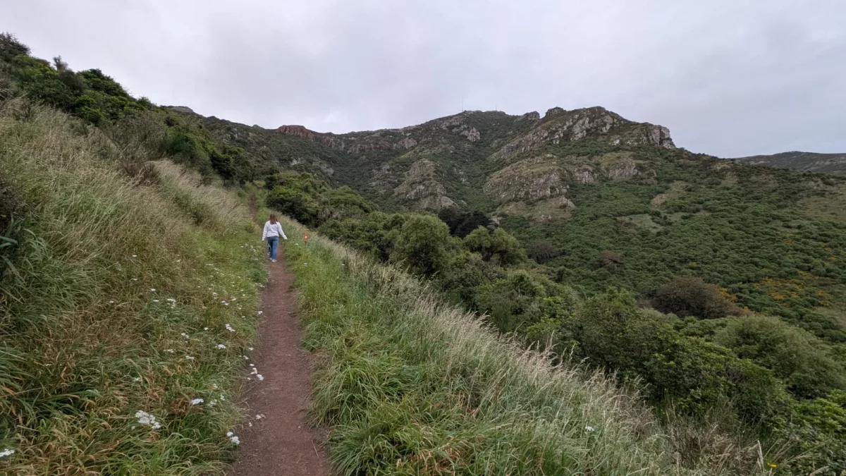 Der Großteil des Weges ist aber entspannt