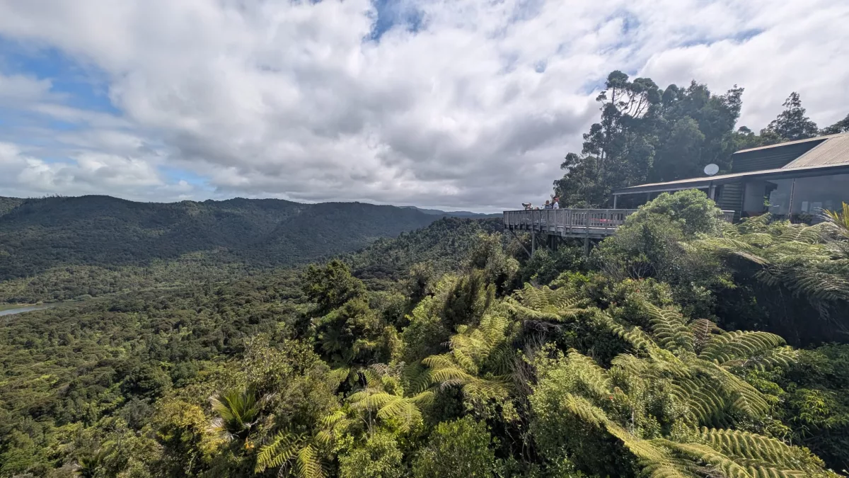 Blick auf den üppigen grünen Regenwald