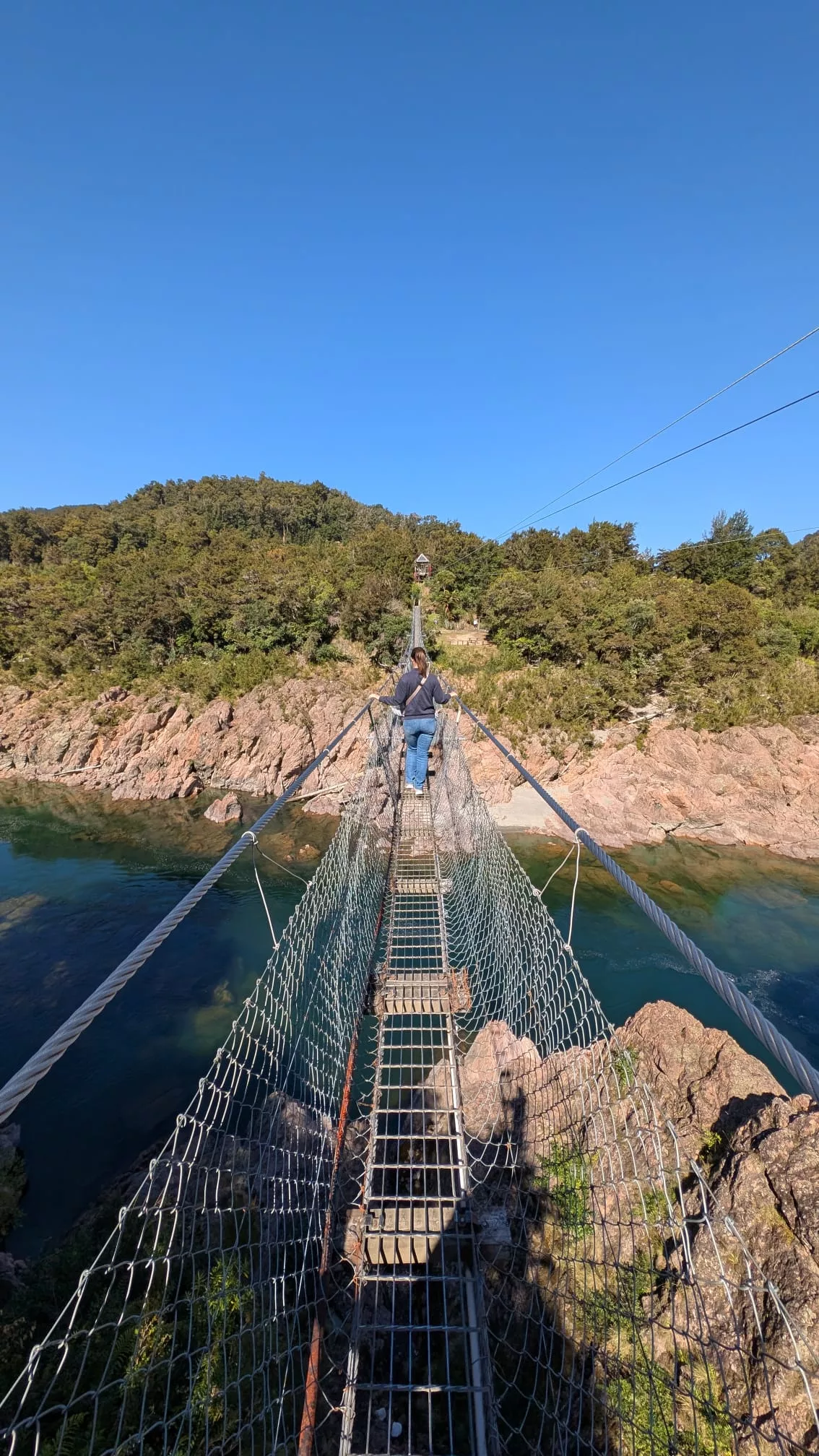 Hängebrücke über der Buller Gorge