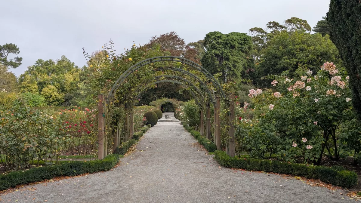 Der Rosengarten in Christchurch