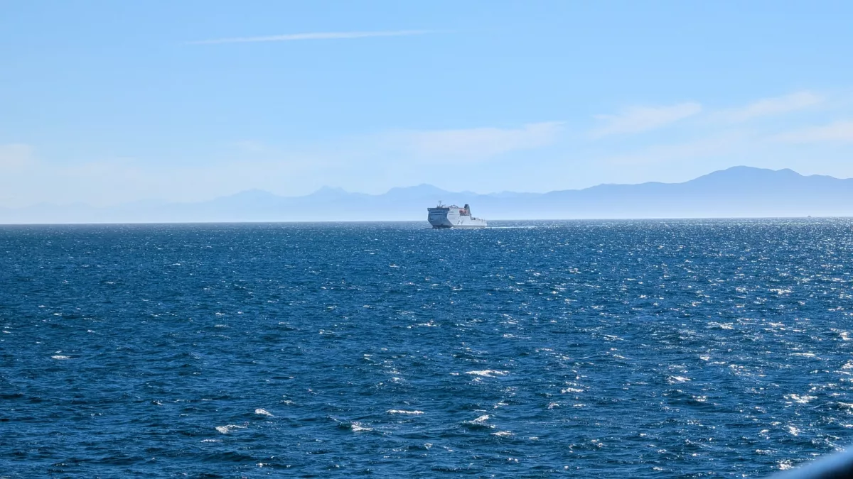 Unterwegs gibt es immer etwas zu sehen, z. B. Delfine, Robben oder andere Fähren ;)
