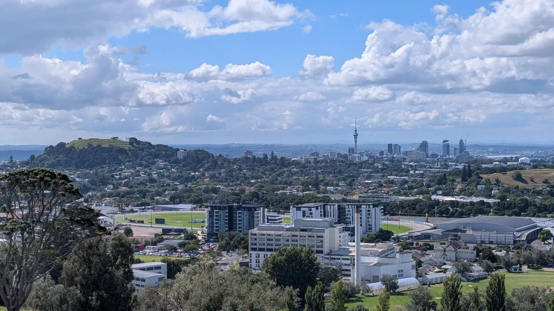 Die Aussicht von oben auf das Zentrum mit Skytower