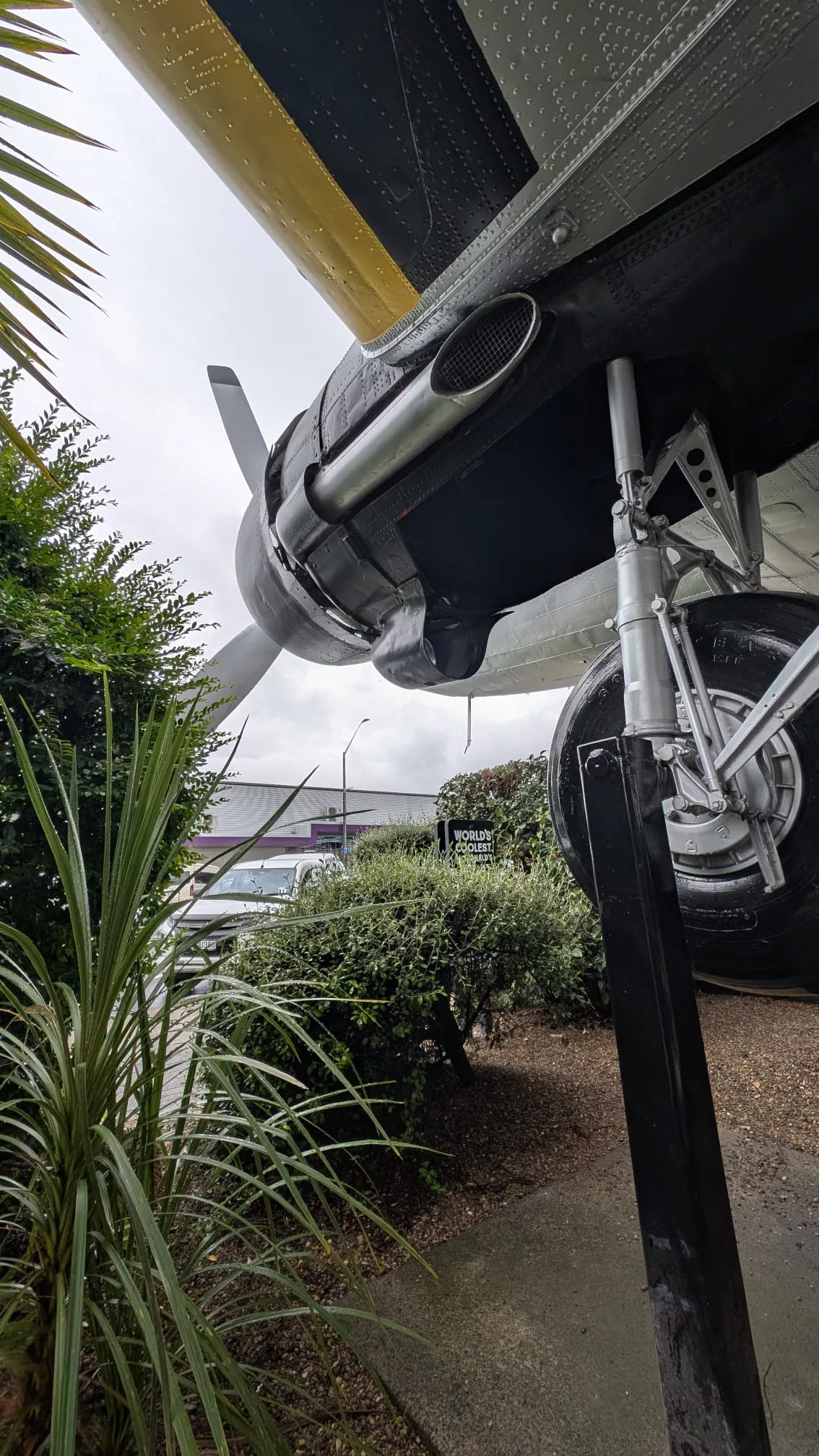 Eine der coolsten McDonald's Filialen der Welt in Taupo