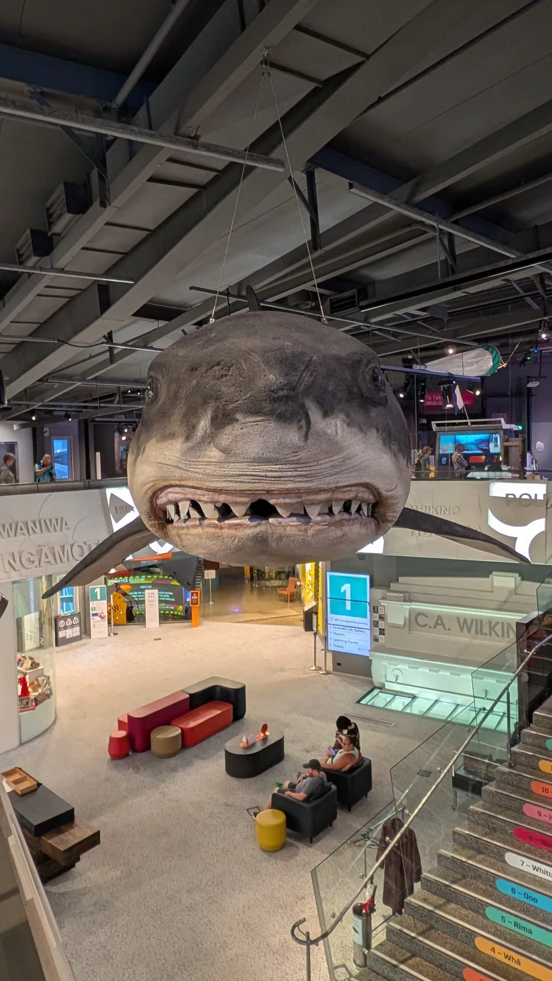 Der riesige Hai im Puke Ariki Museum