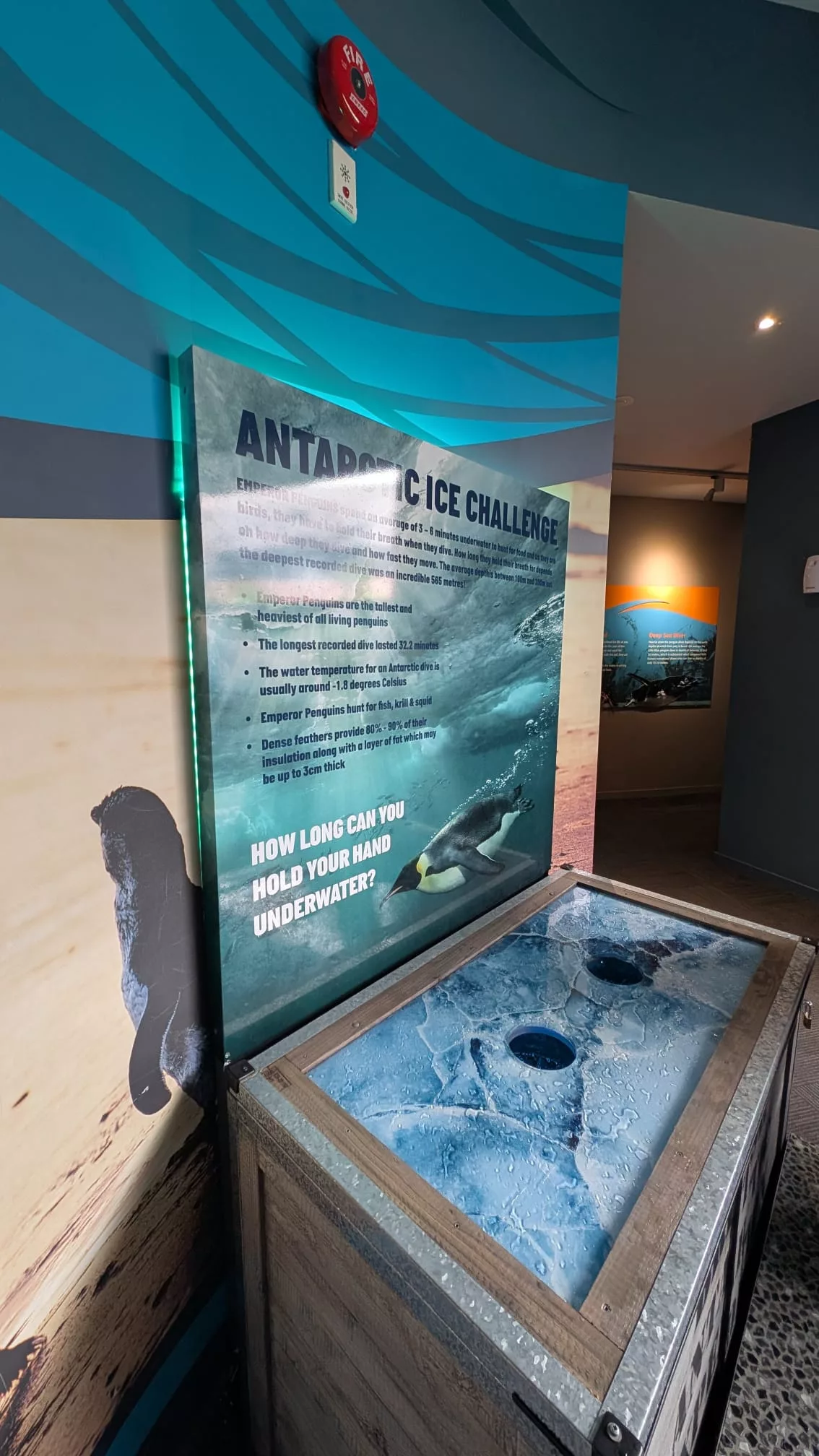 Neuseeland-Roadtrip: Südinsel