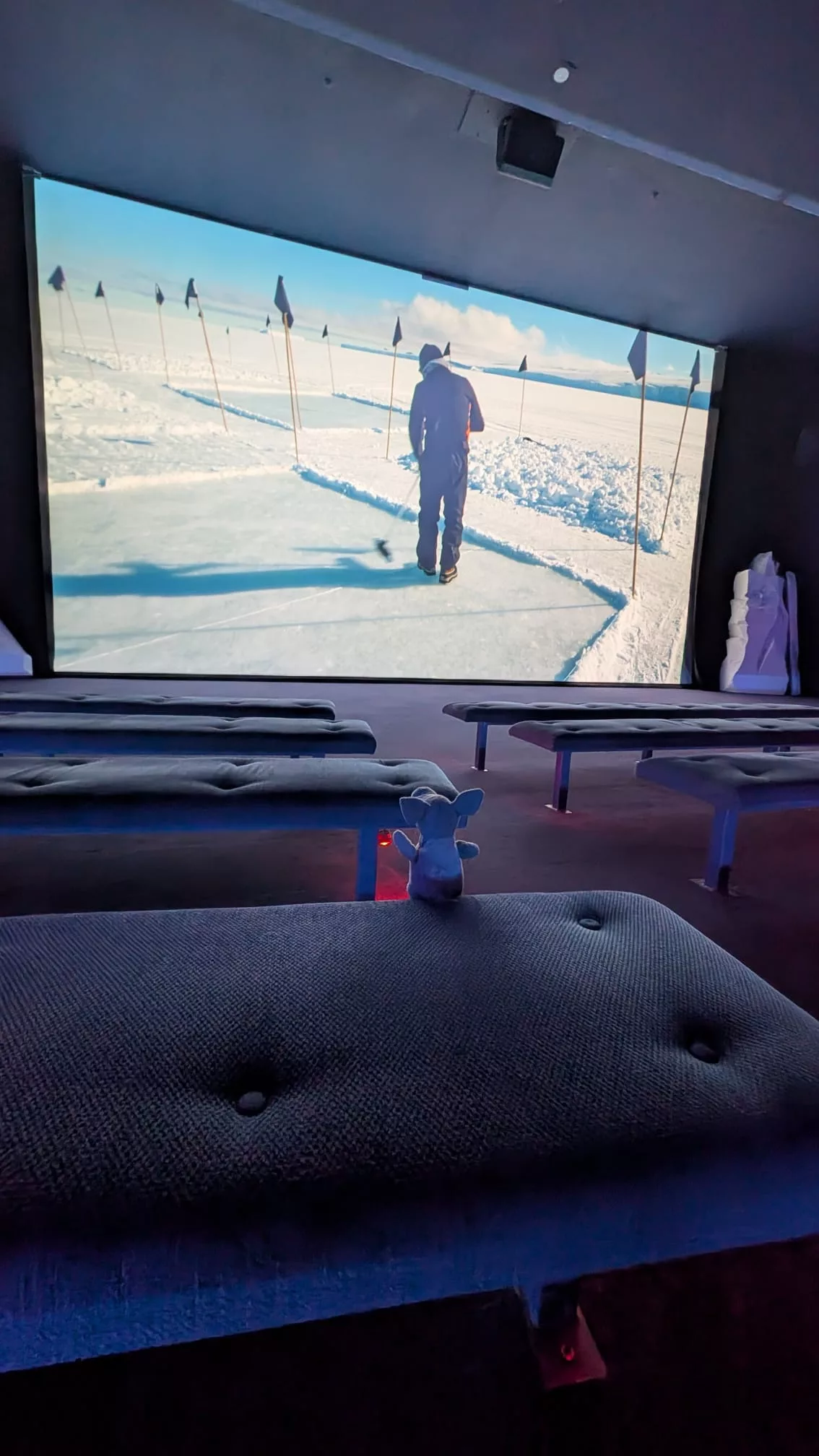 Verschiedene Filme vermitteln Wissen über die Antarktis und Expeditionen dorthin