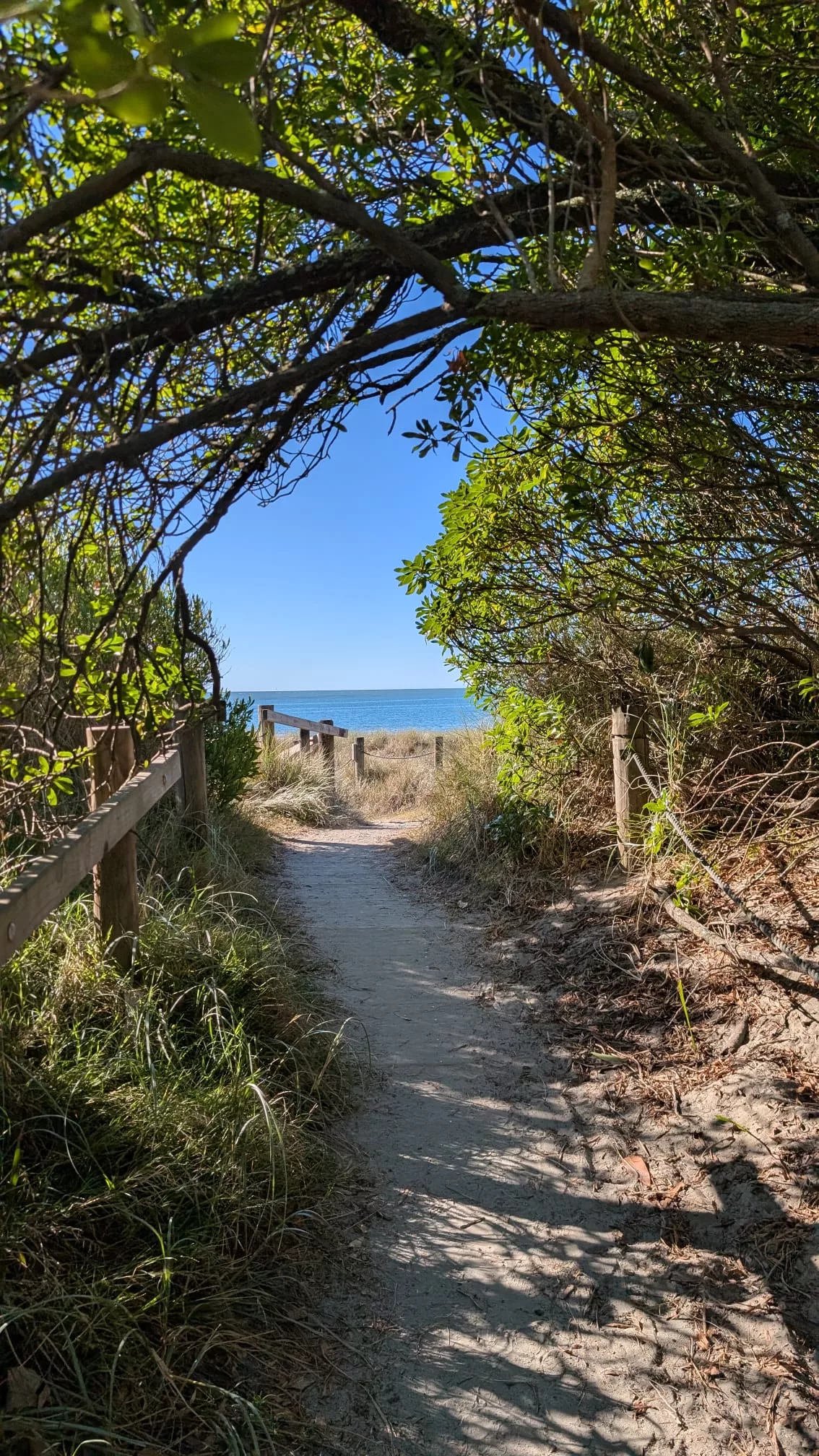 Strandzugang zum Tahunanui Beach in Nelson