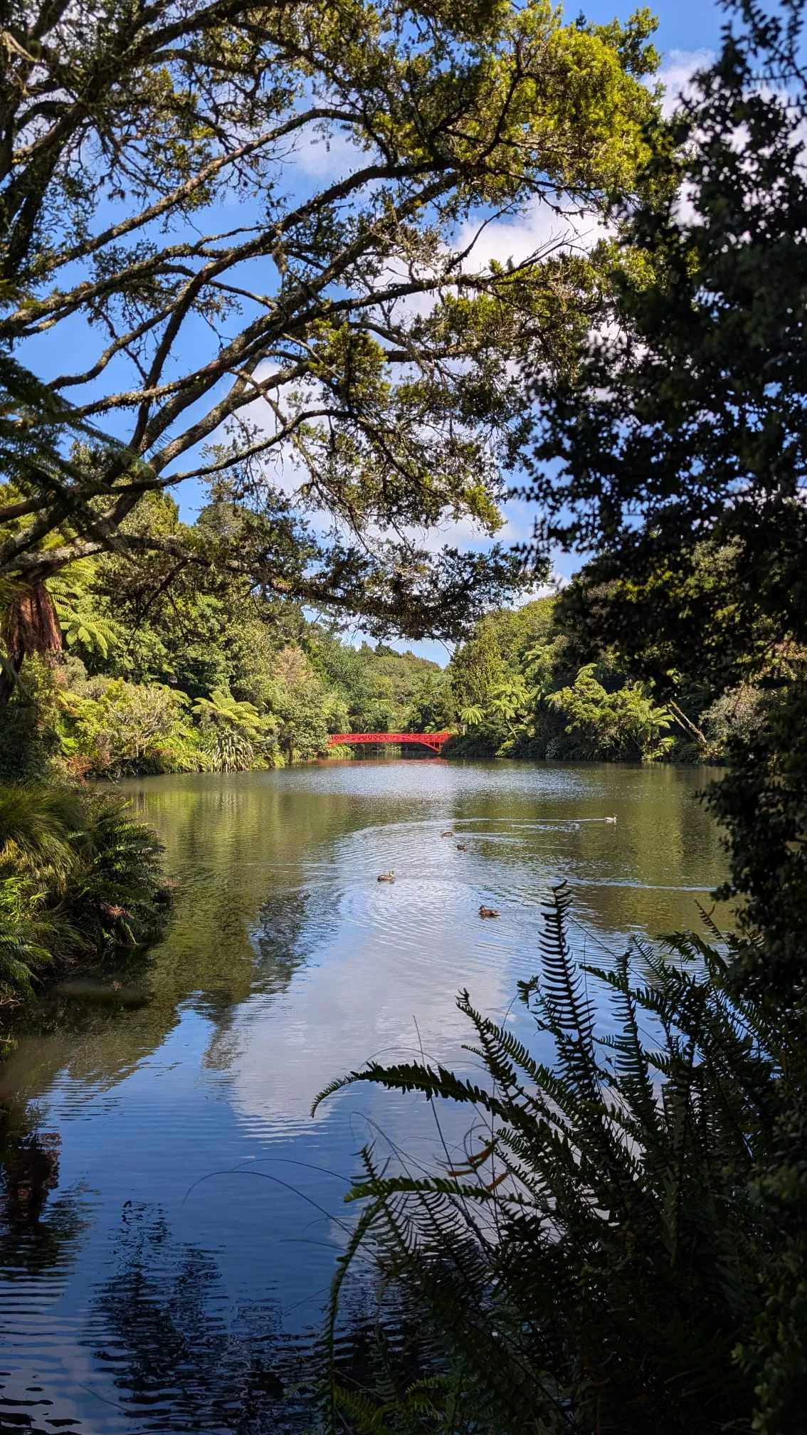 Die Poets Bridge im Pukekura Park