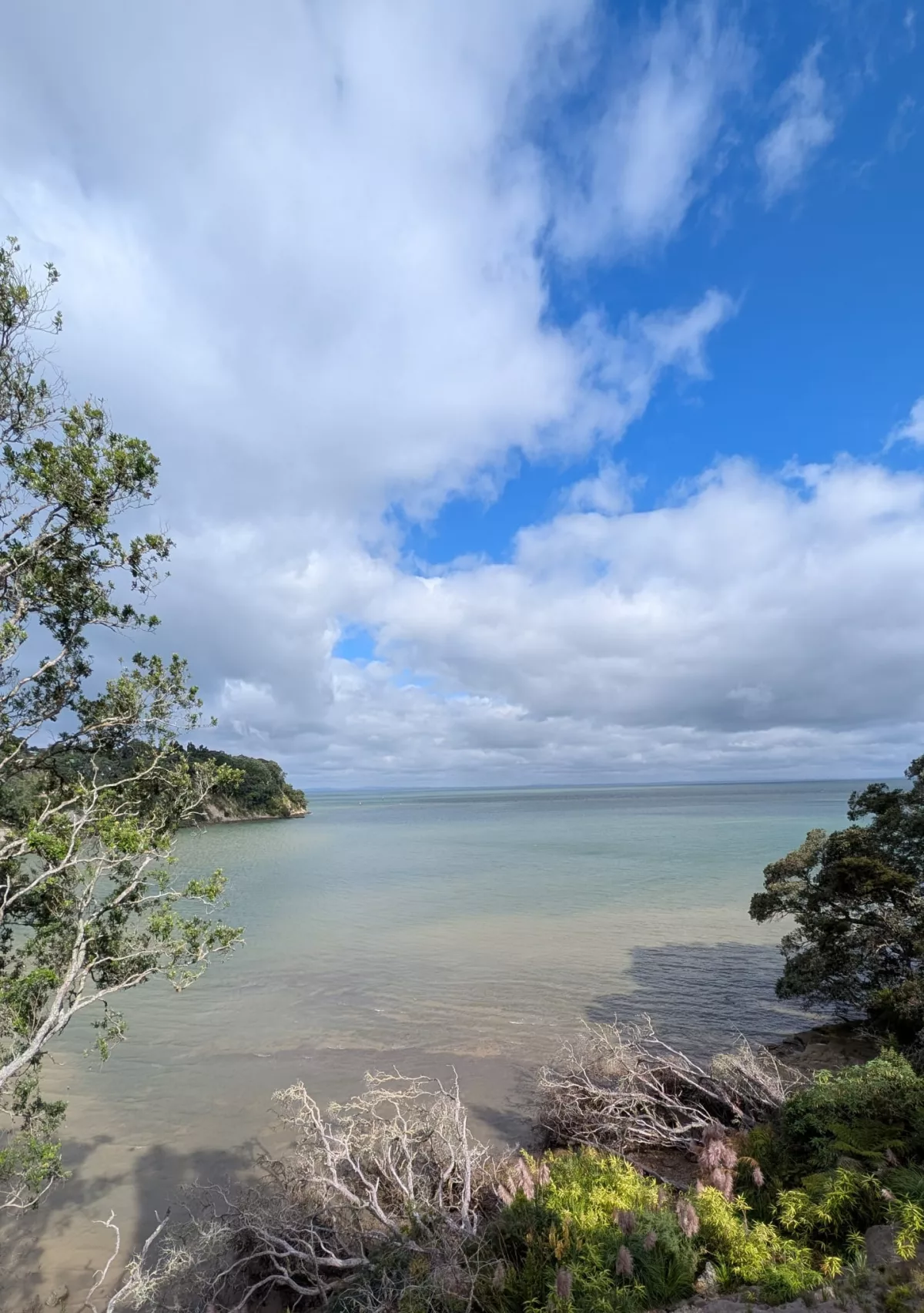 Aussicht von der Paturoa Road auf die Bucht
