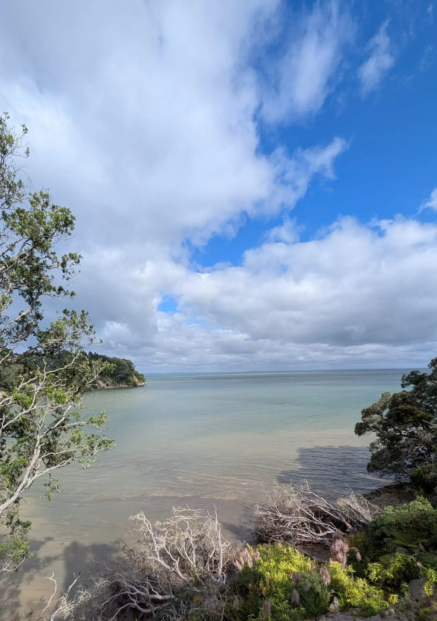 Aussicht von der Paturoa Road auf die Bucht