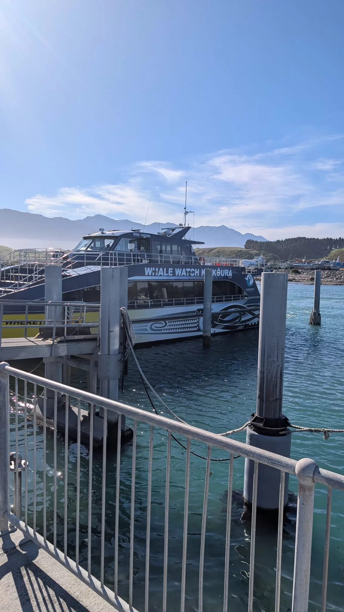 Kaikoura Whale Watch ist als Anbieter sehr zu empfehlen