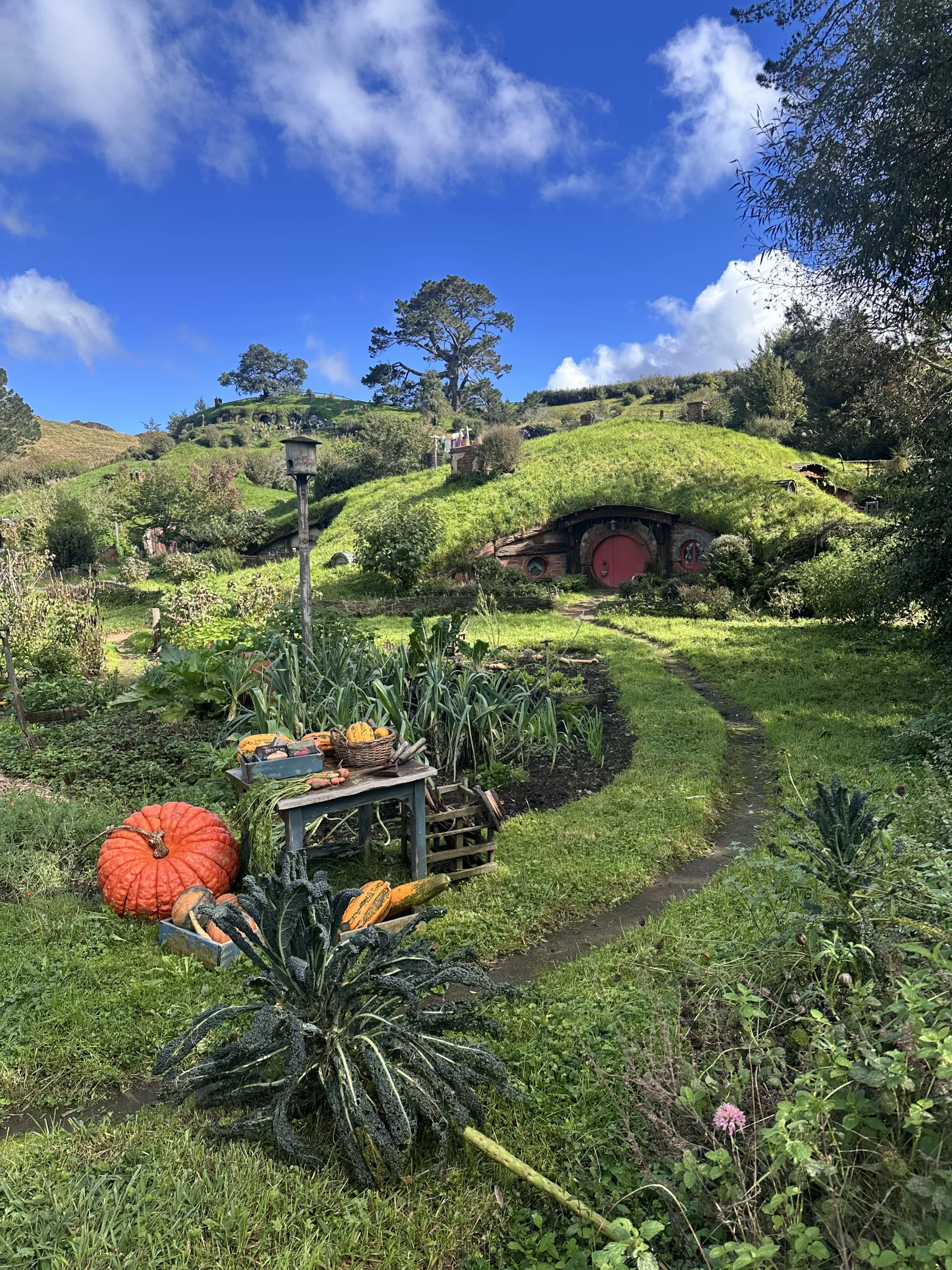 Willkommen in Hobbiton