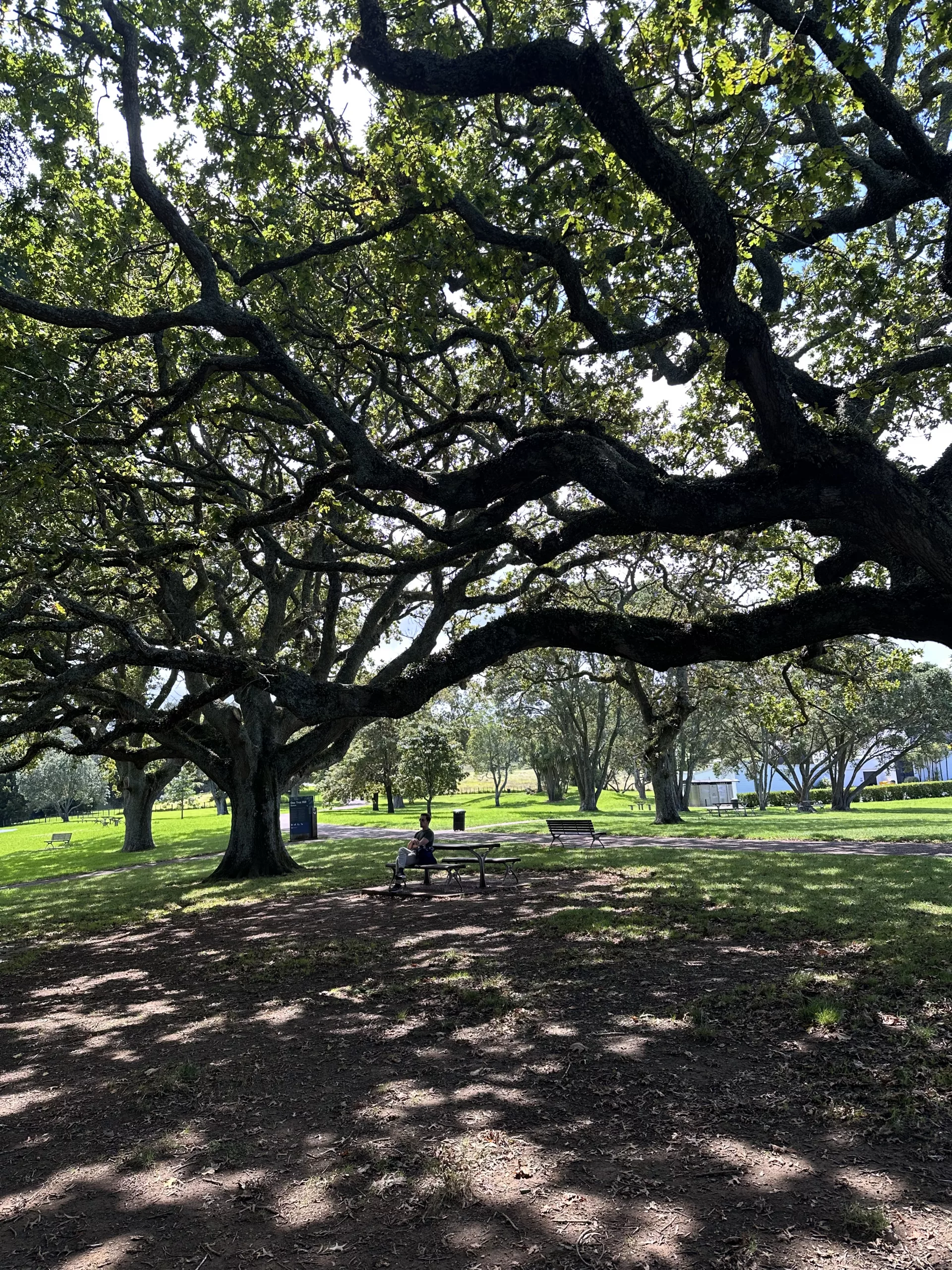 Oli genießt die Ruhe im Cornwall Park