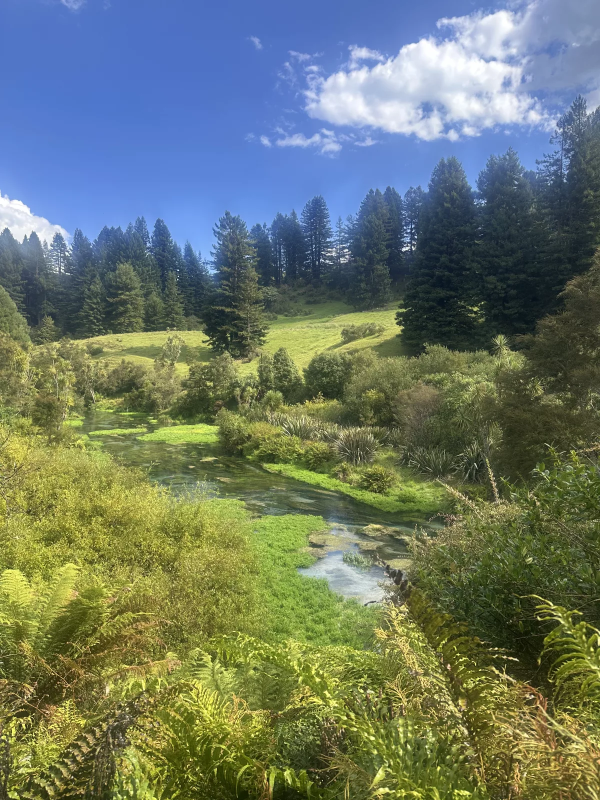 Ein erster Blick auf den Fluss mitten in der grünen Landschaft