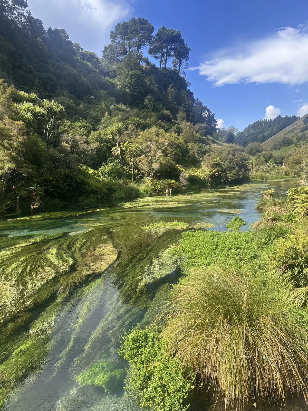 Ein unglaublich schönes Stück Natur (trotz anderer Touristen)