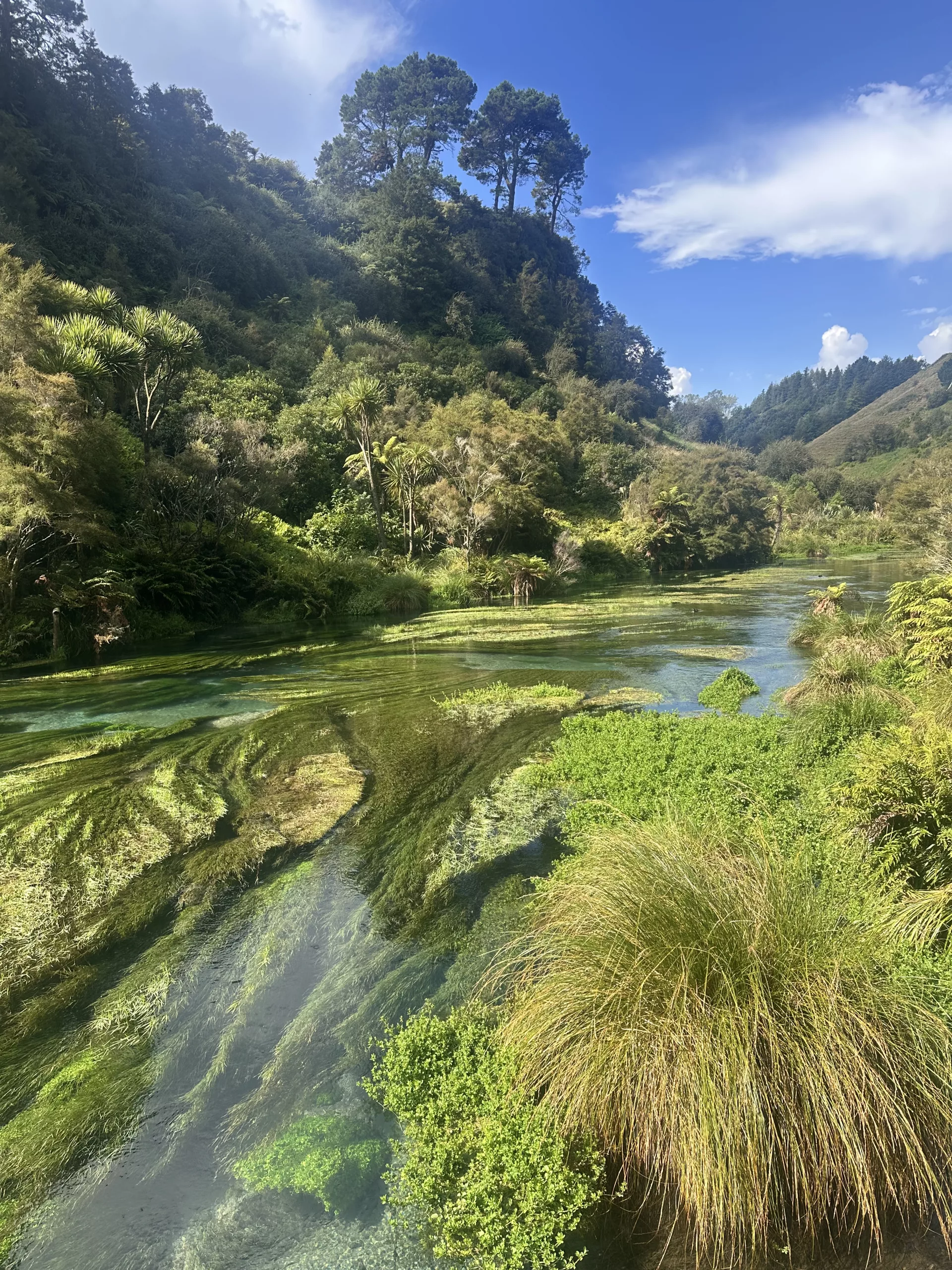 Ein unglaublich schönes Stück Natur (trotz anderer Touristen)