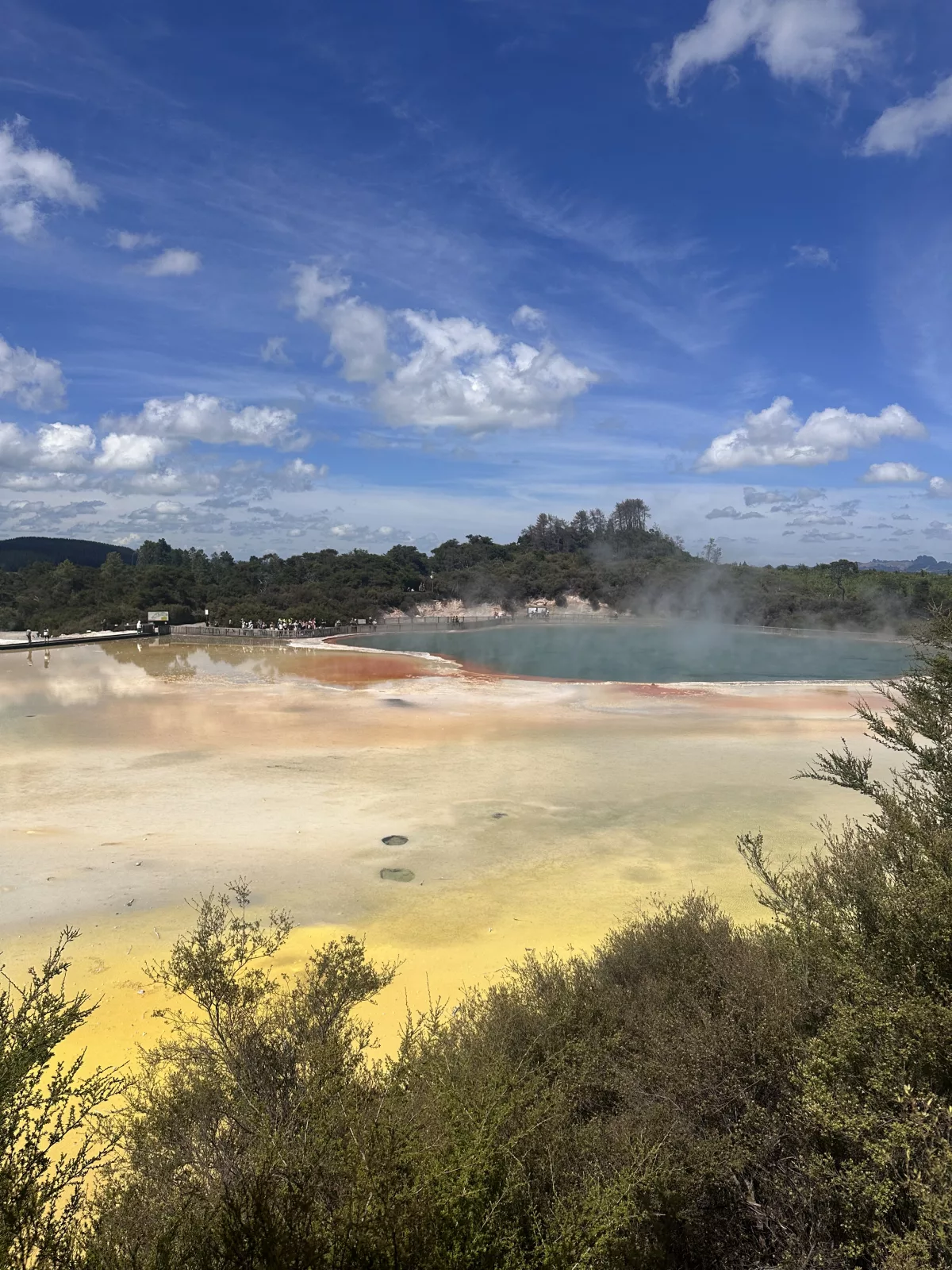 Der Champagne Pool leuchtet in bunten Farben