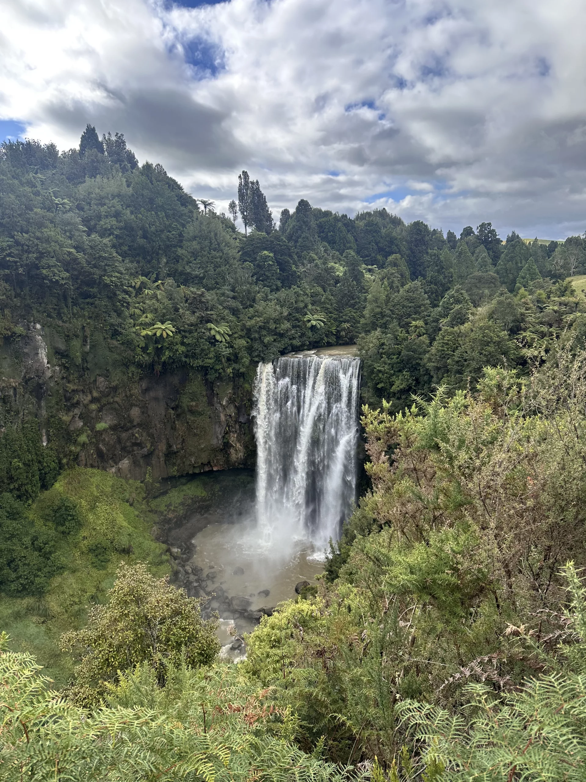 Unser Ziel: die überraschend großen Omaru Falls