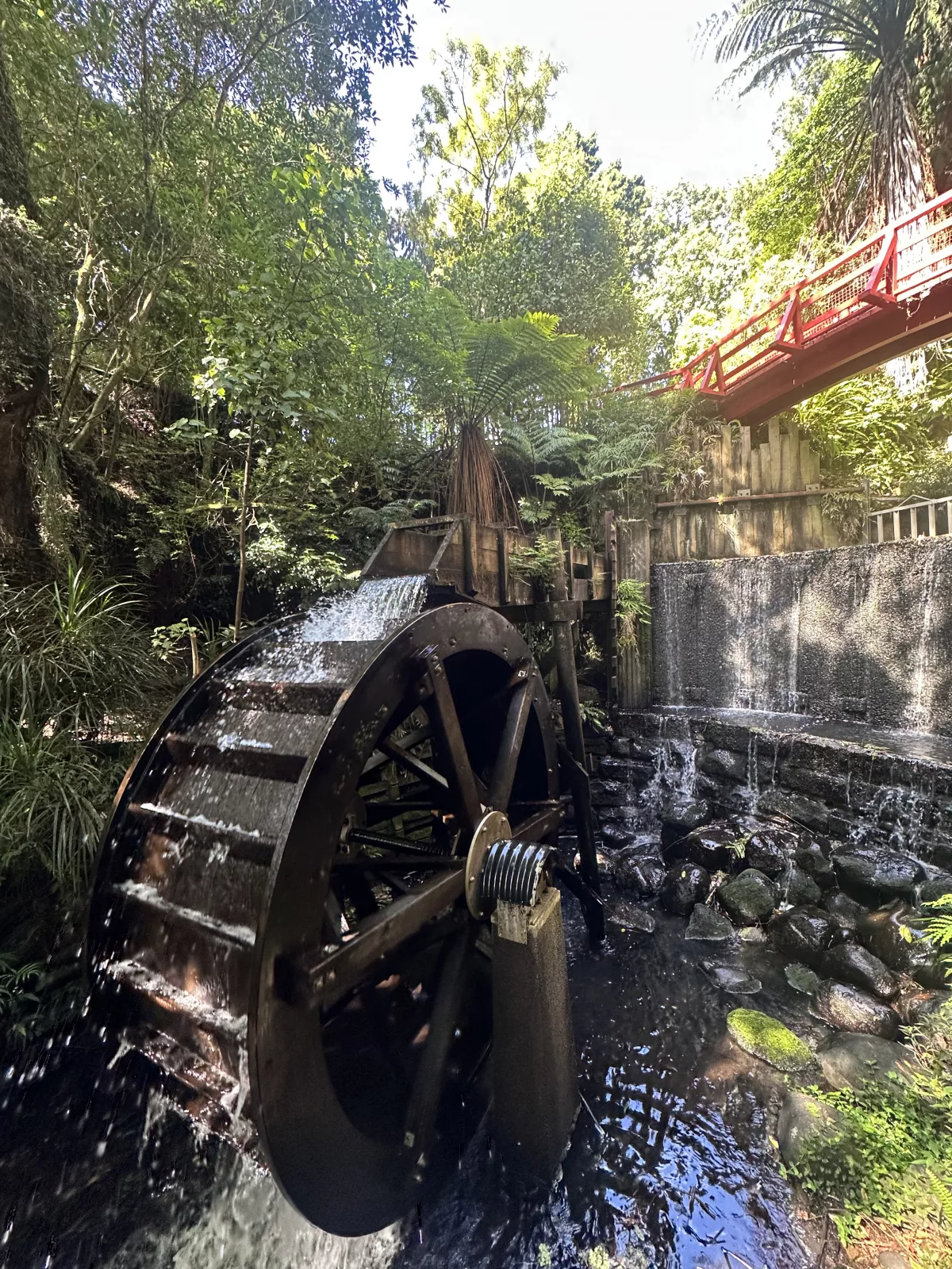 Dieses Wasserrad haben wir auch entdeckt