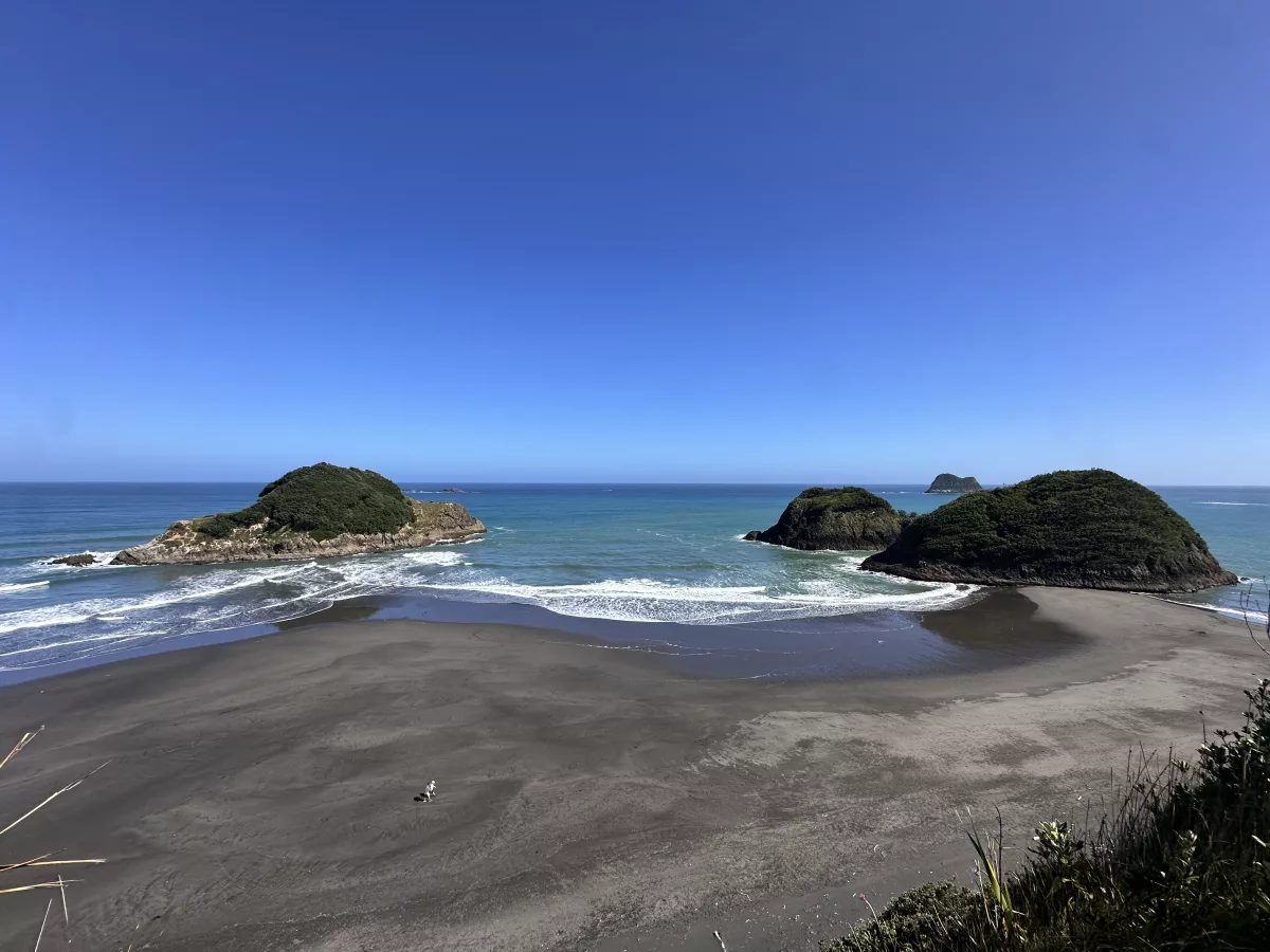 Snapper-, Round- und Seagull Rock