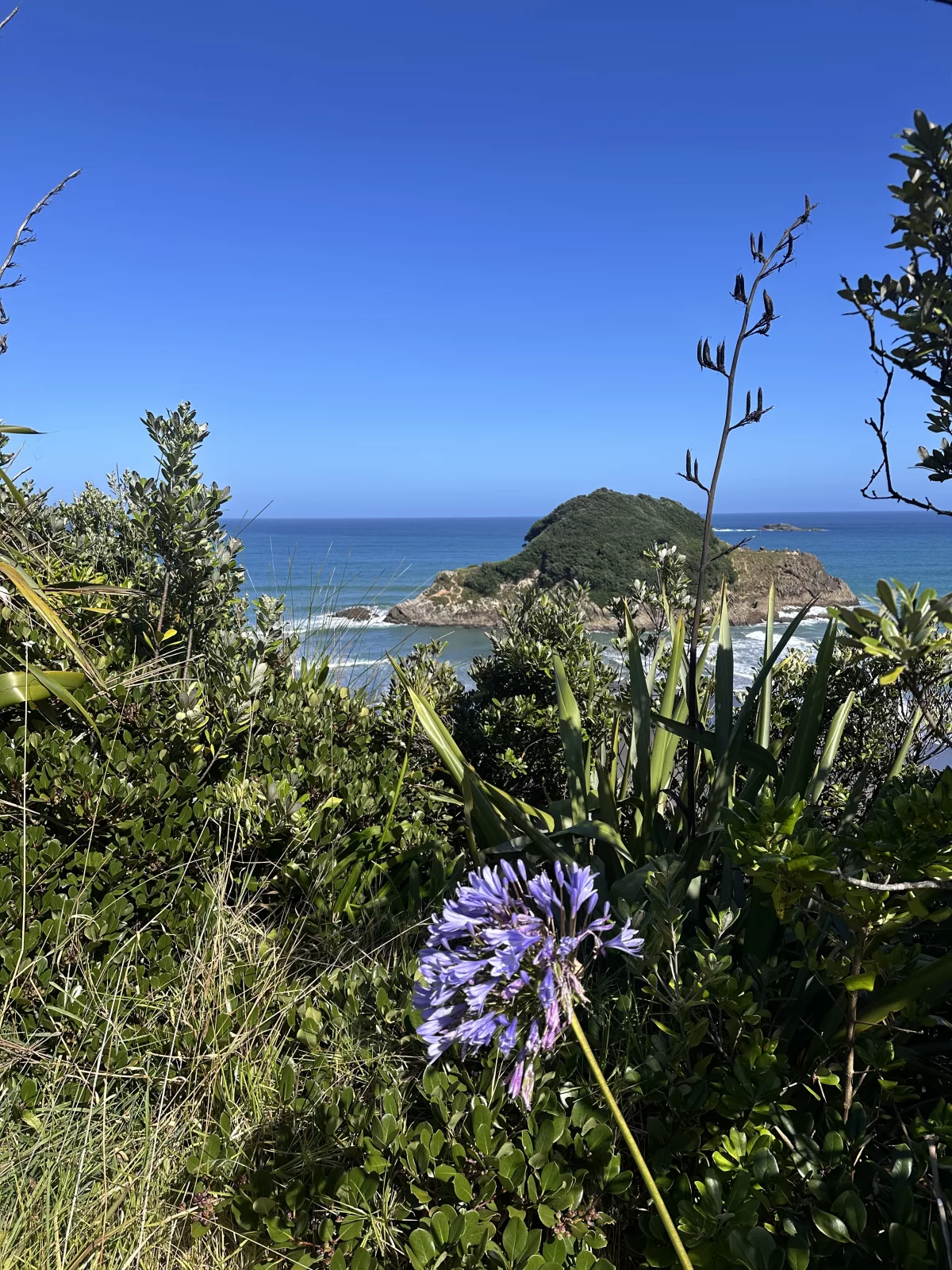 Dieser Aussichtspunkt war wirklich schön und leicht zu erreichen