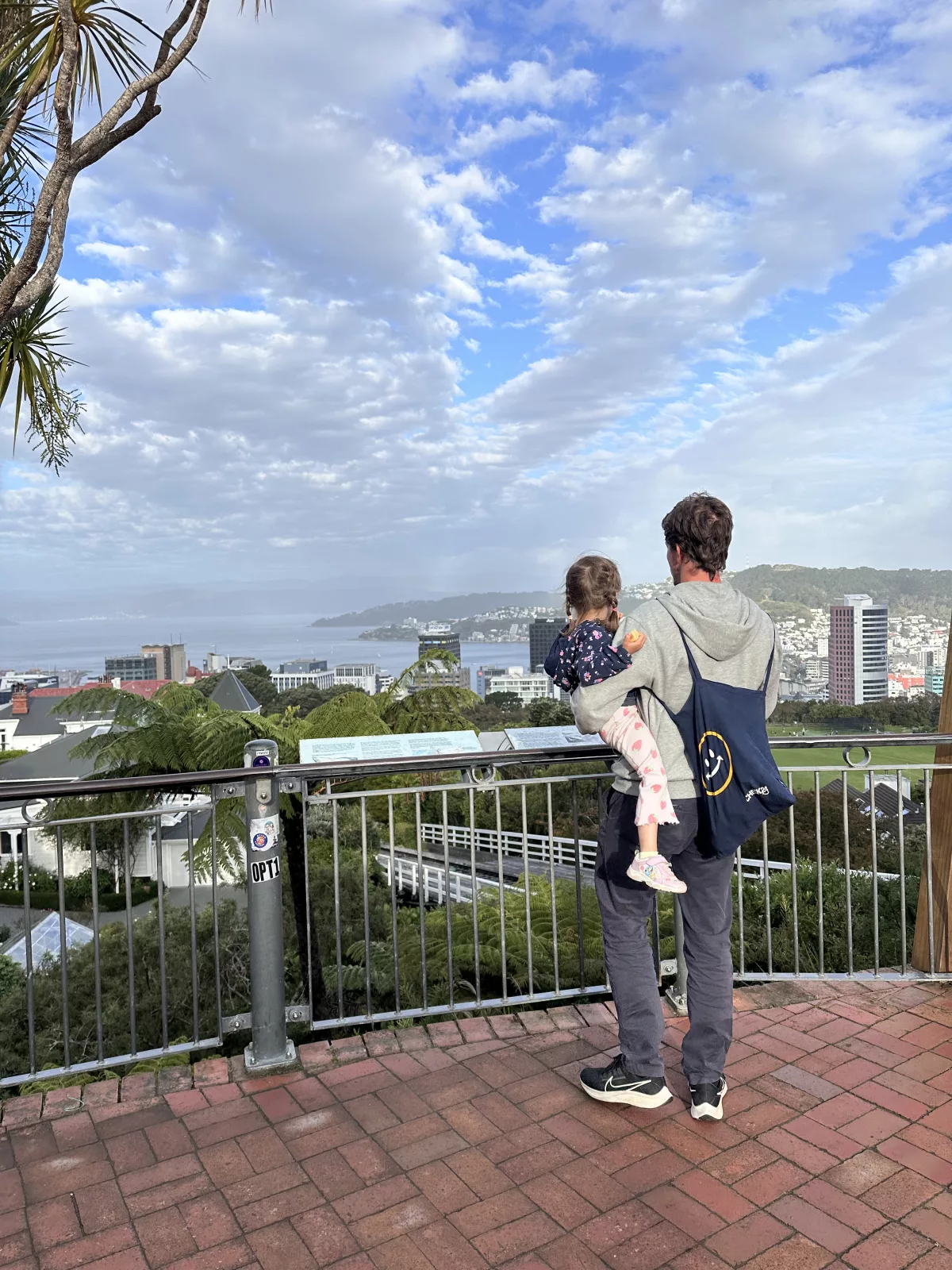 Oben genießen wir kurz die Aussicht auf Wellington