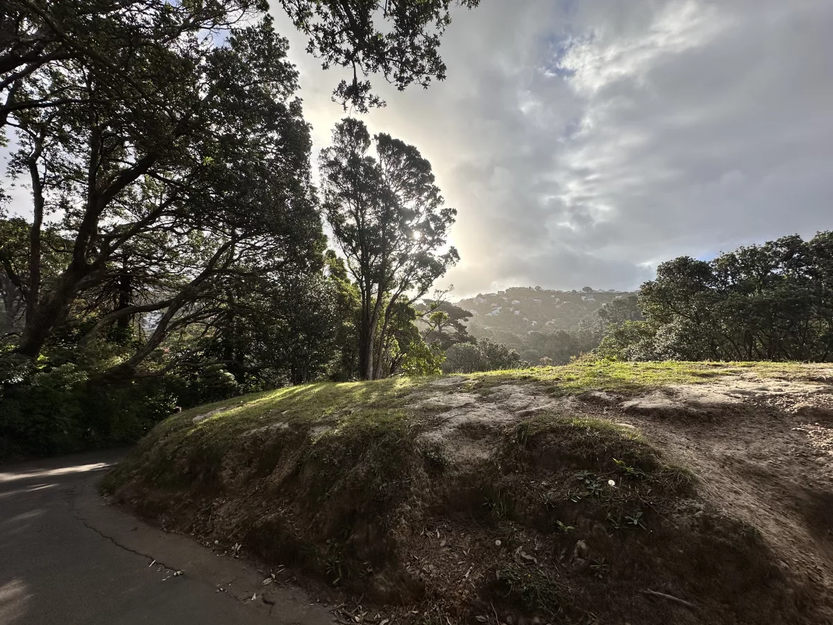 Dann spazieren wir in Richtung des Botanischen Gartens