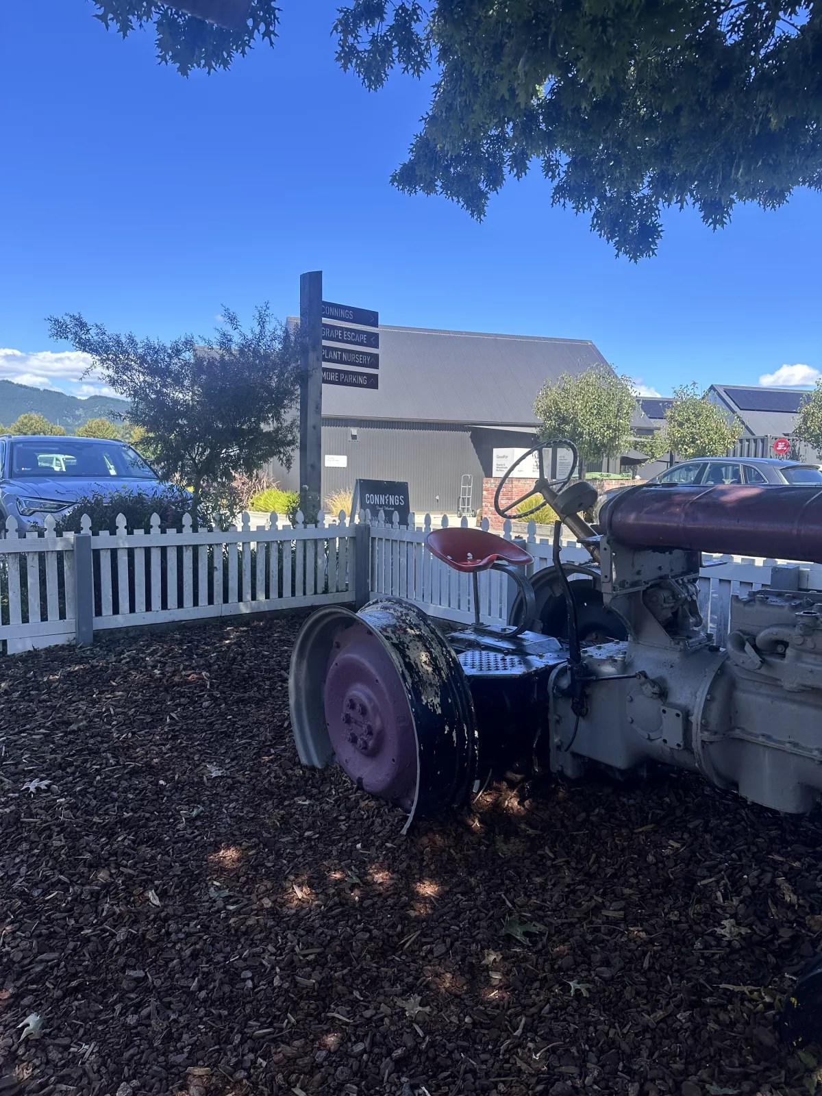 Wie an vielen Orten Neuseelands gibt es sogar alte Traktoren zum Spielen