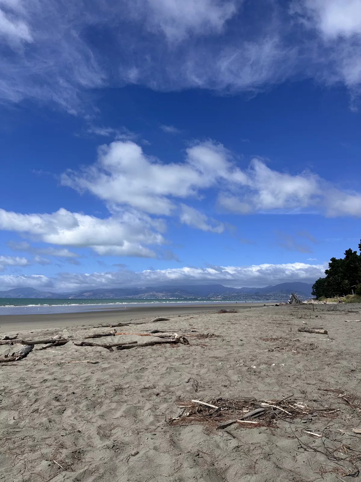 Hier gibt es viele Baumstämme und Äste, um Hütten zu bauen