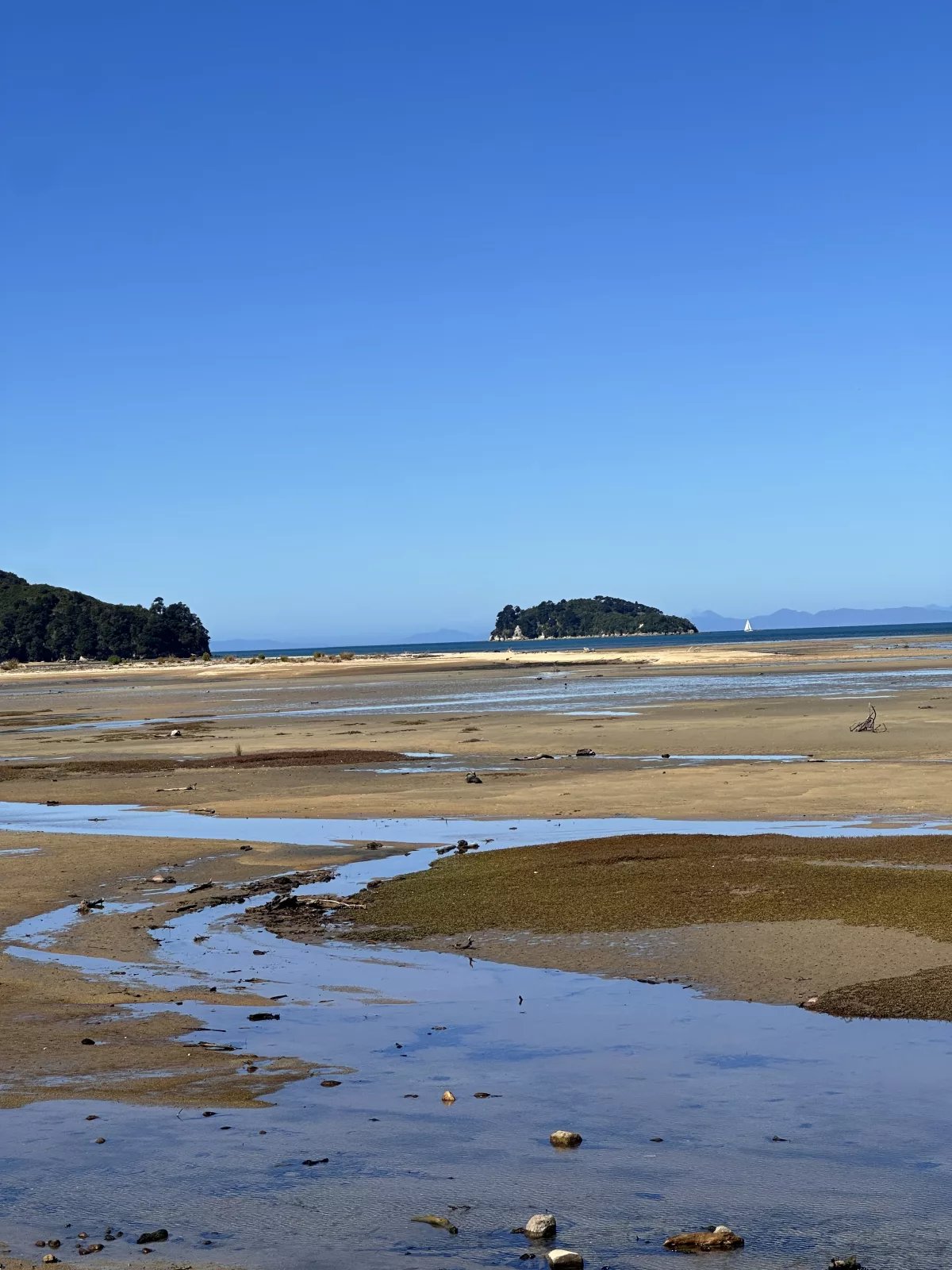 Von Weitem ahnt man noch nicht, wie schön der Coastal Track ist