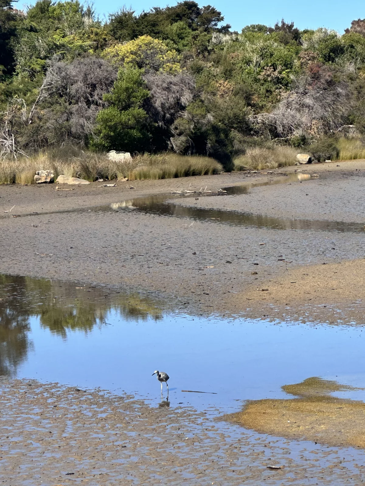 Und auch Vögel gibt es viele zu beobachten
