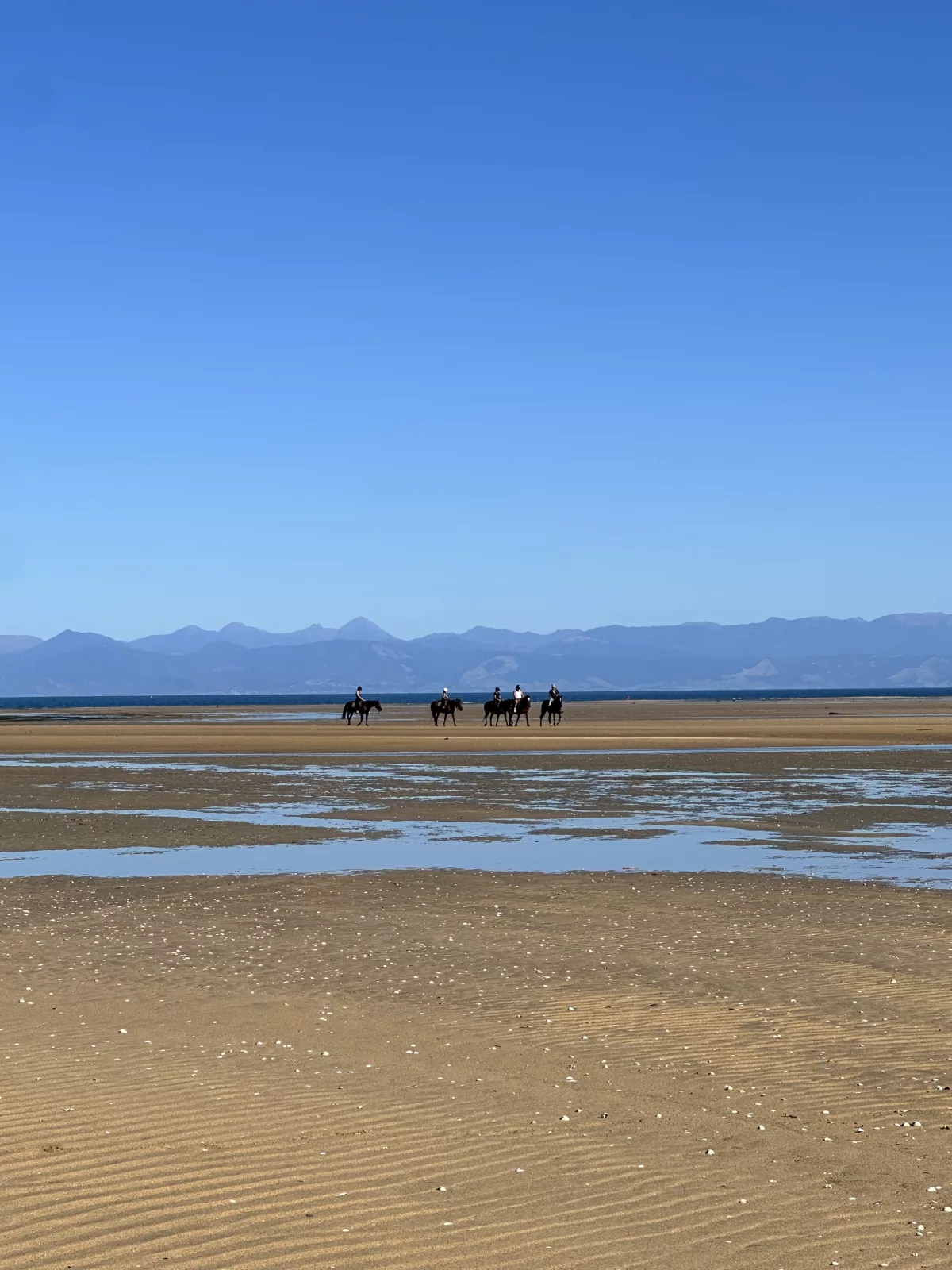 Die Reitgruppe haben wir unterwegs immer wieder getroffen
