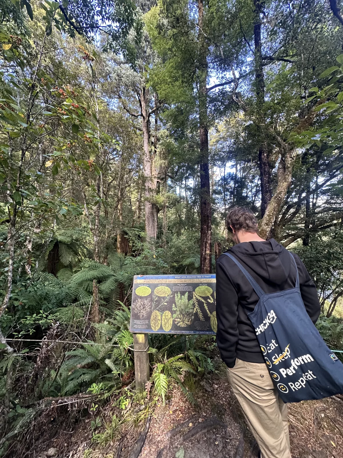 Endpunkt des Waldwanderwegs (leider kein Rundweg)