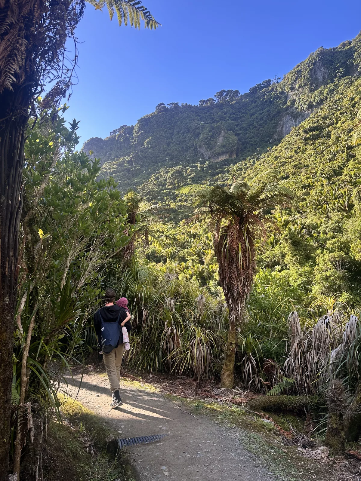 Der Weg durch den Paparoa National Park ist wunderschön