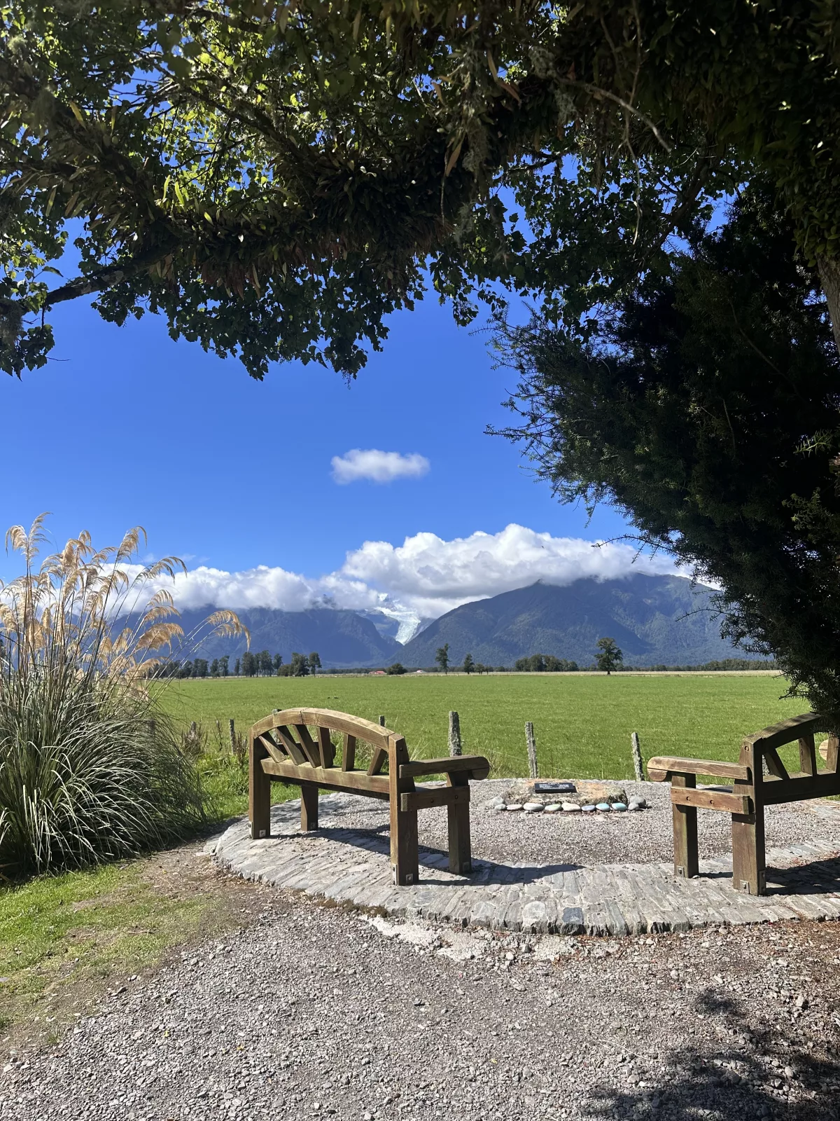 Perfekter Aussichtspunkt für einen Blick auf den Fox Gletscher
