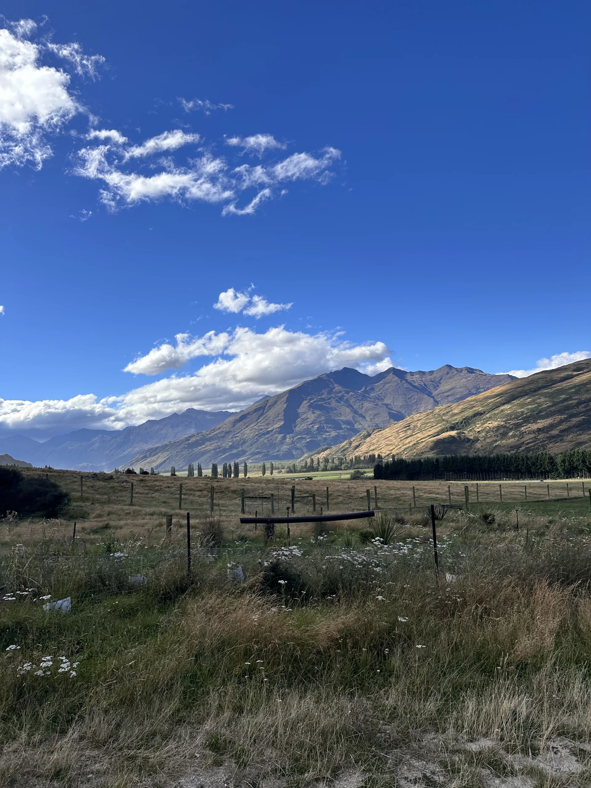 Die Berge rund um Wanaka sind ganz besonders malerisch
