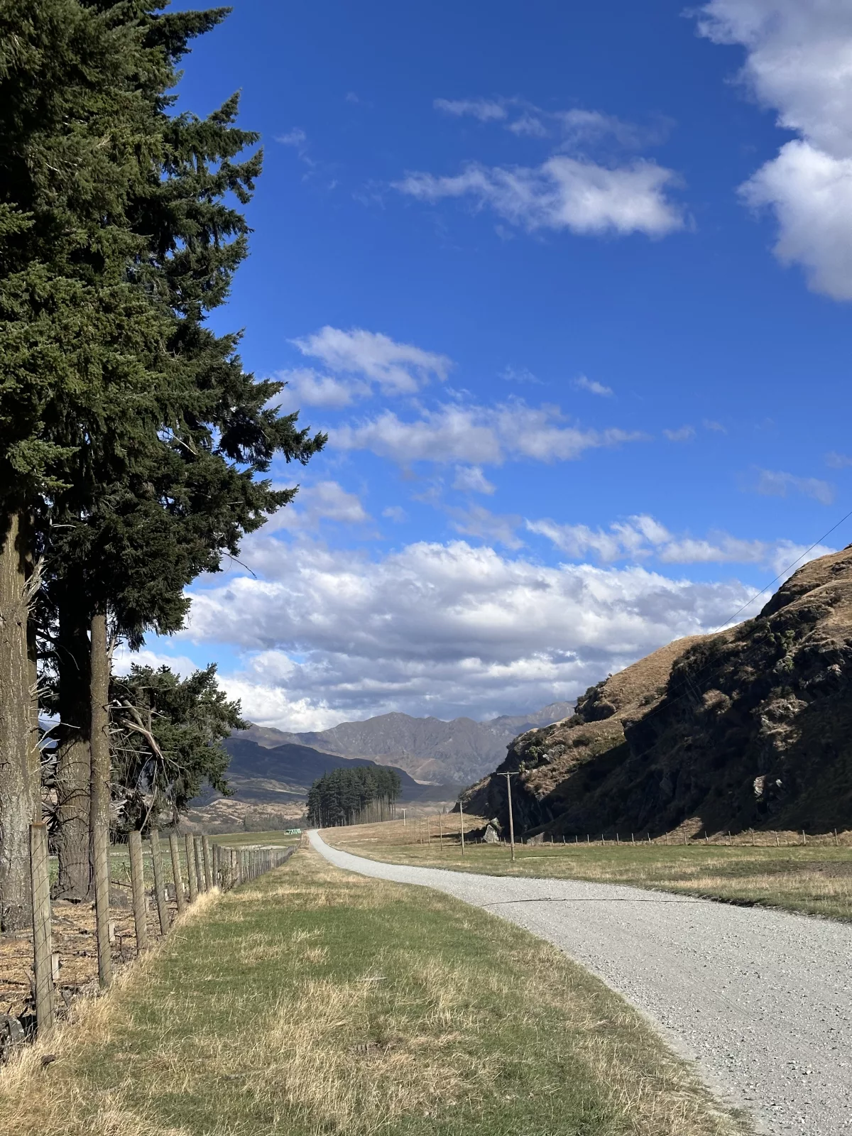 Die Gravel Road führt u. a. zum bekannten Roys Peak Wanderweg