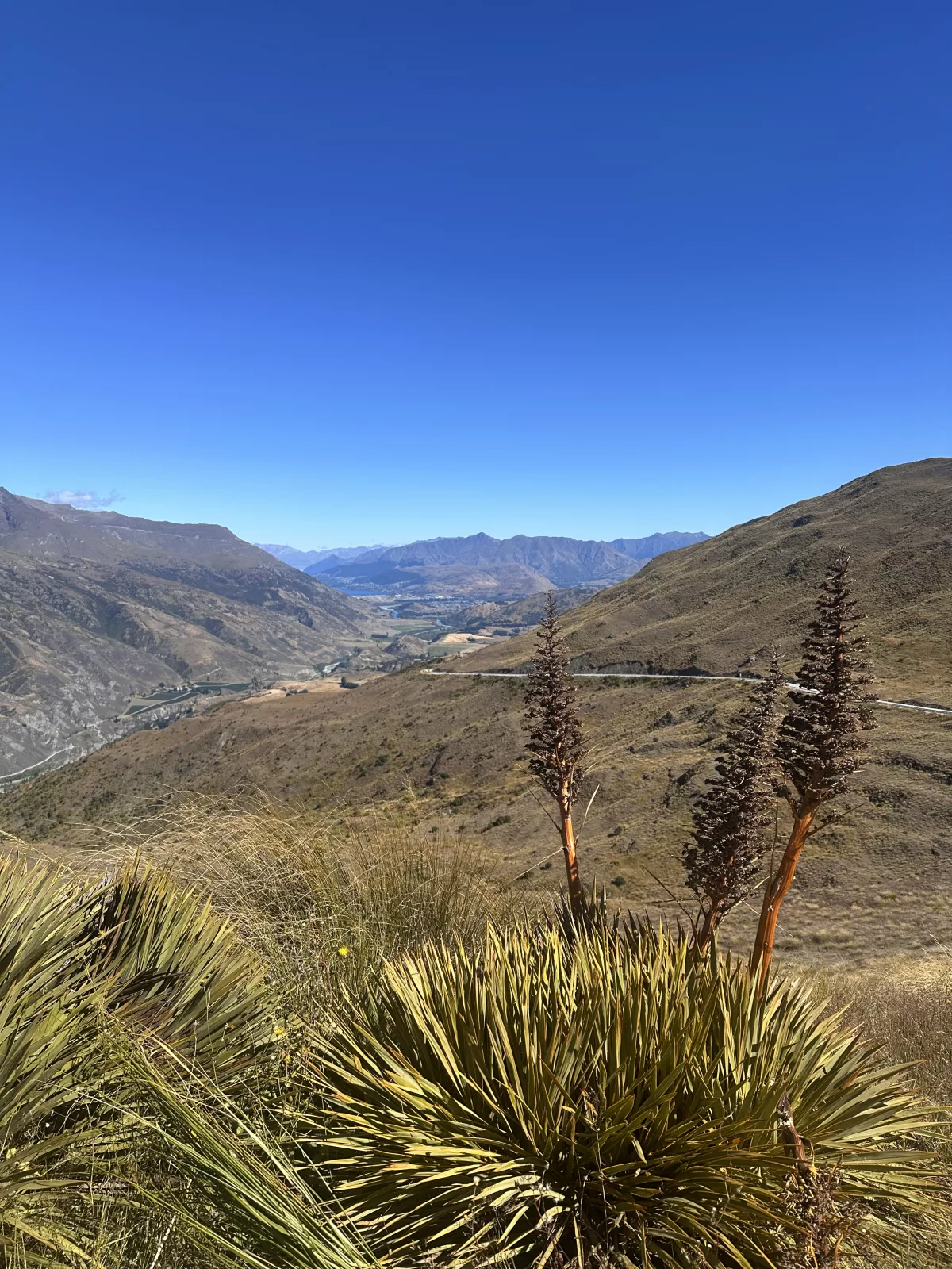 Wanderung in der Pisa Conservation Area zum Crown Range Summit