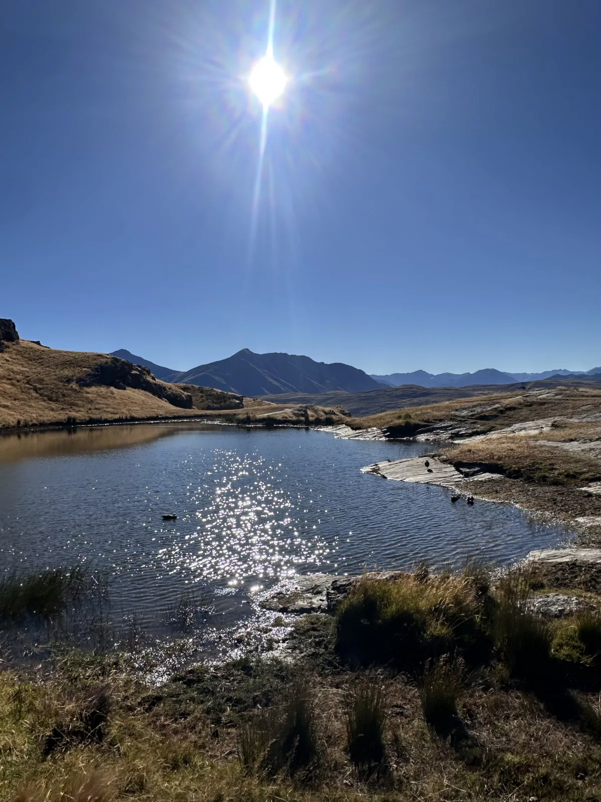 Selbst auf den Bergen finden sich überall schöne See