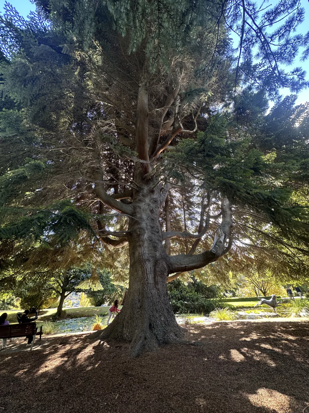 Die Gärten laden zum Spazieren ein, inklusive riesiger Bäume