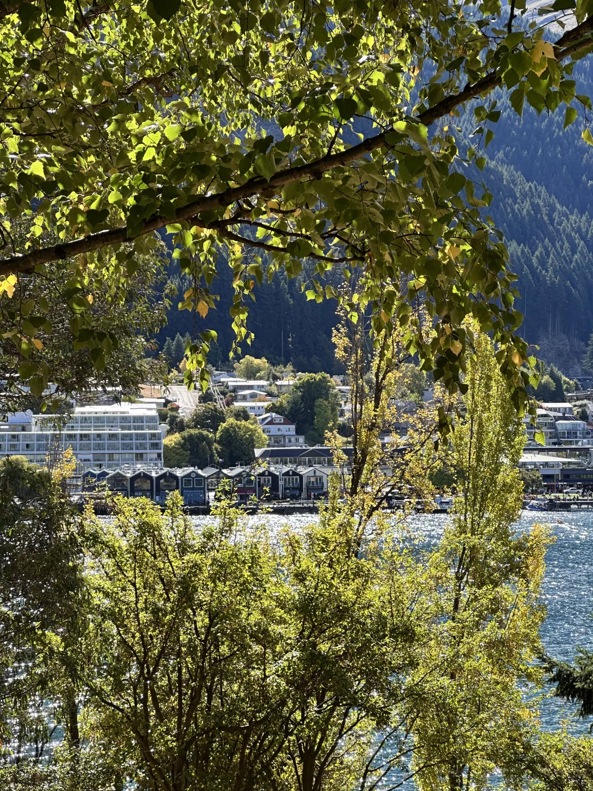 Blick auf die Häuser am Hafen von den Queenstown Gardens aus