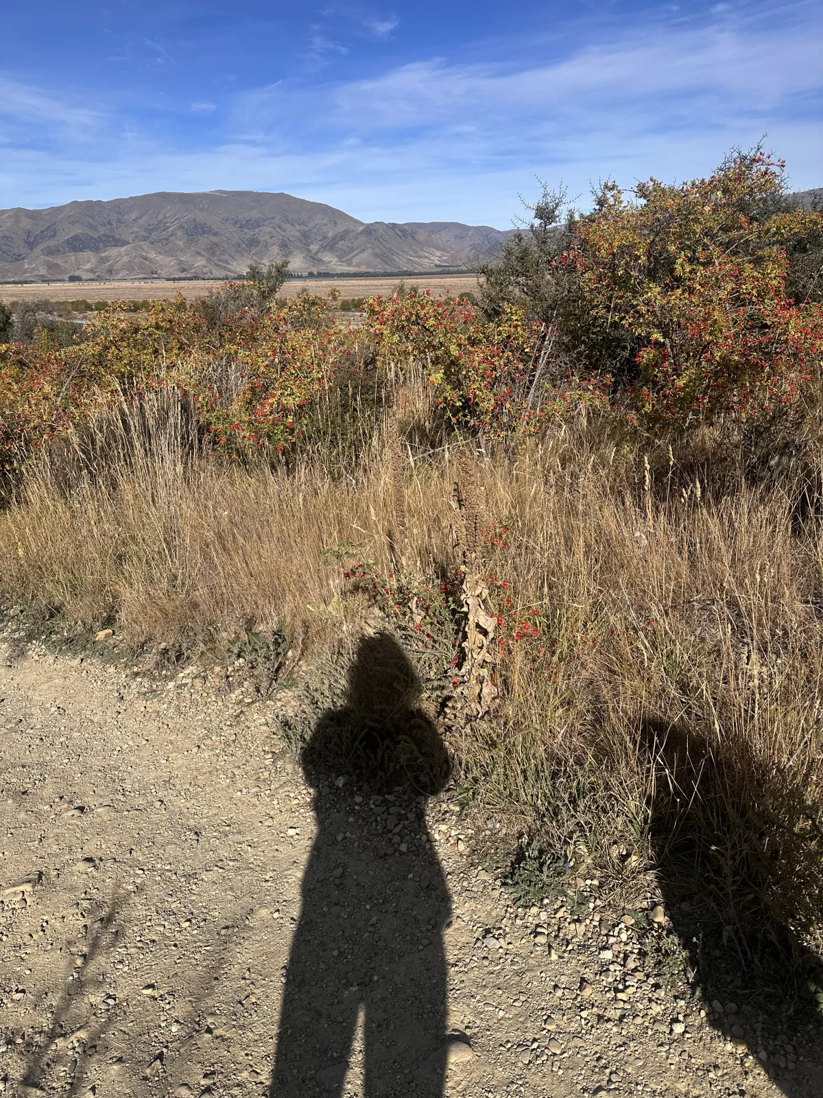 Der Spaziergang war kurz und mit bester Aussicht