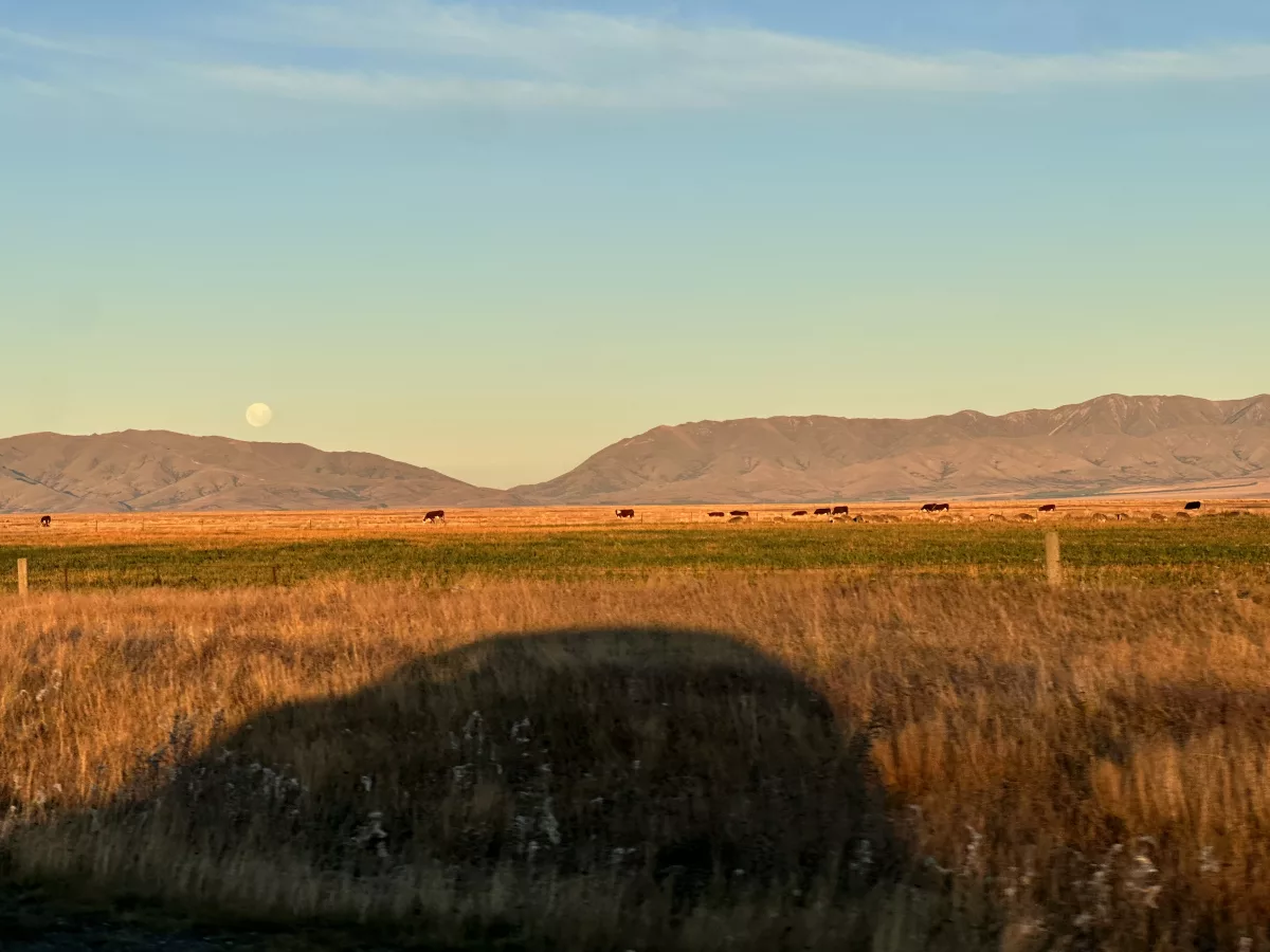 Aufgang des Vollmonds auf der Fahrt nach Tekapo