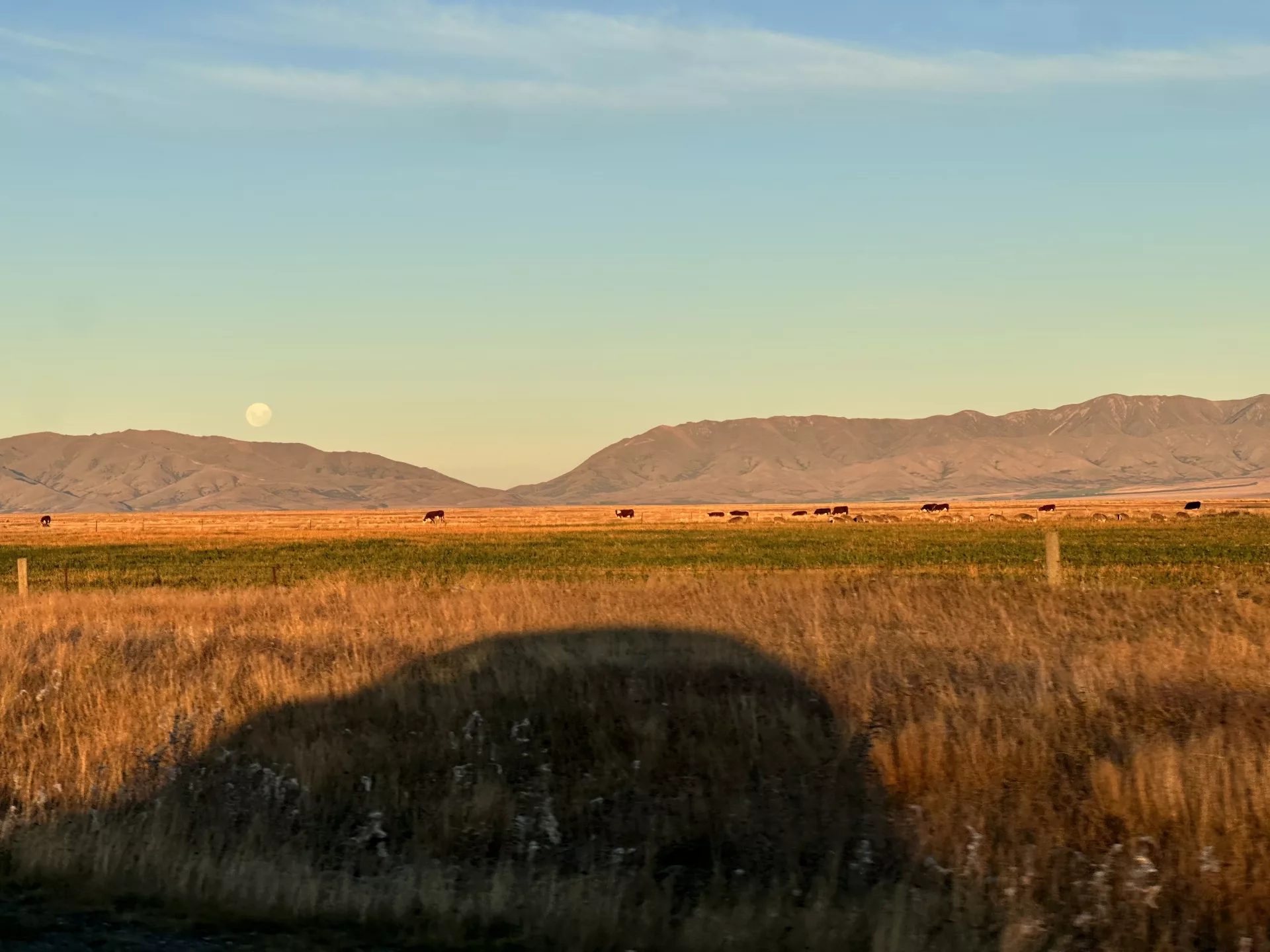 Aufgang des Vollmonds auf der Fahrt nach Tekapo