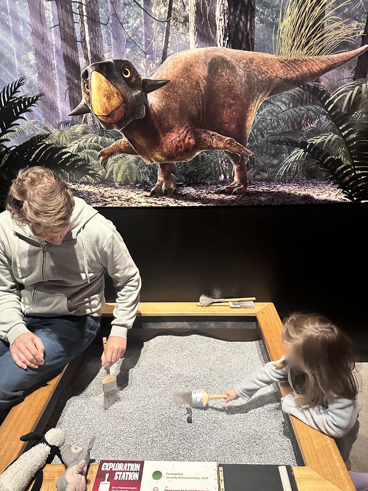 Diese Ausgrabungskisten haben viele Kinder längere Zeit beschäftigt