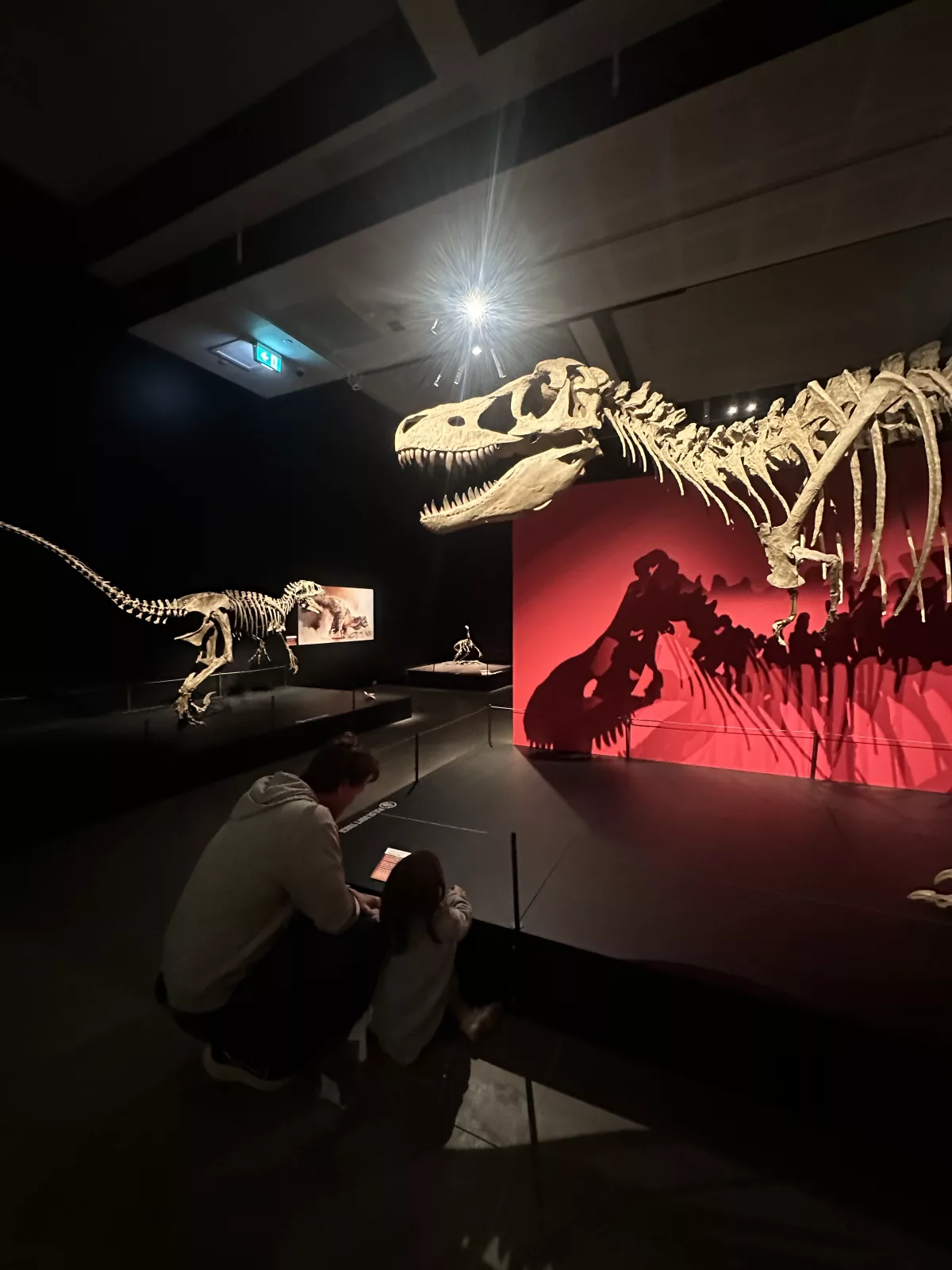 Dinosaurier sind auch die Hauptattraktion im Canterbury Pop Up Museum