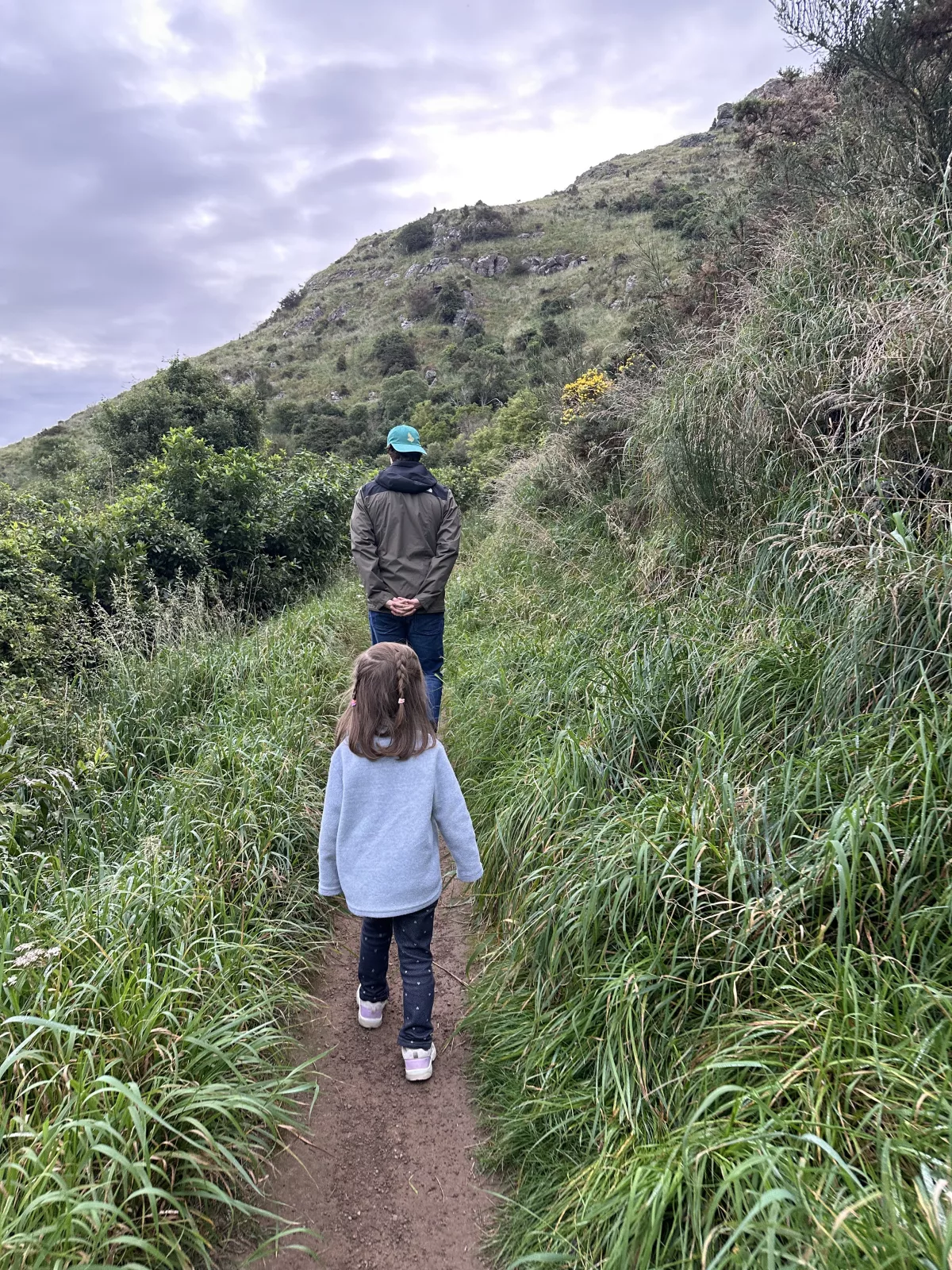 Der Major Hornbrook Track ist nur ein schmaler Weg