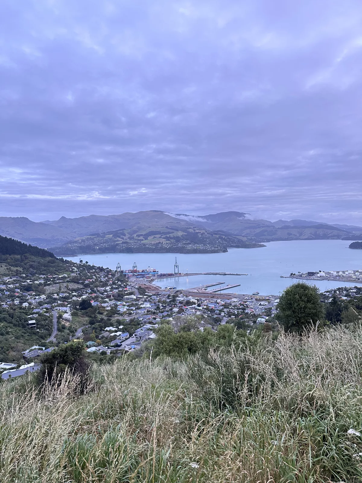 Aussicht auf den Hafen von Lyttelton