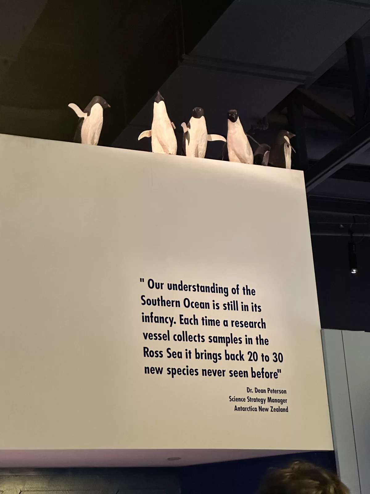 Im international antarctic center lernen auch Erwachsene noch etwas